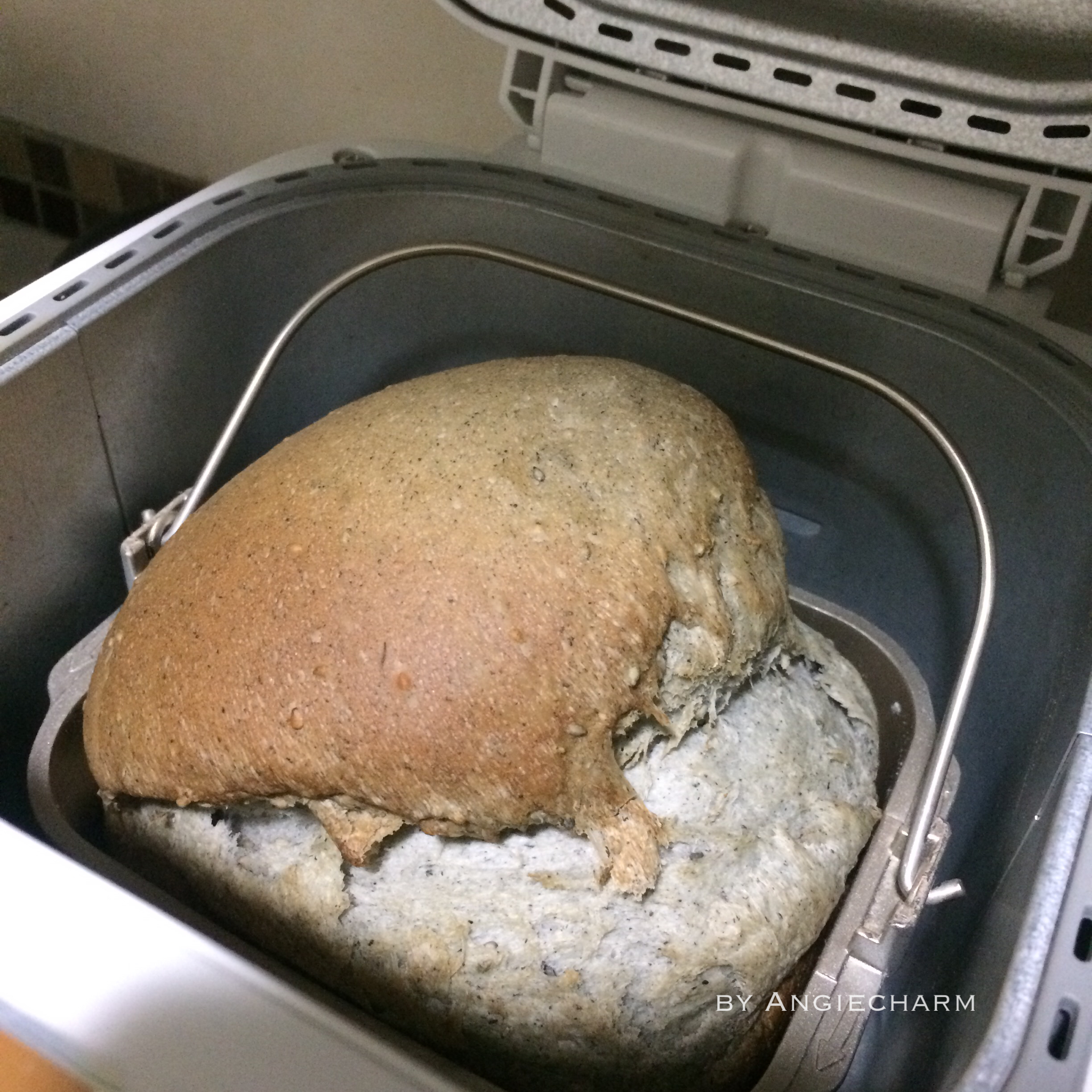 松軟的黑芝麻面包（松下面包機）的做法 步骤3