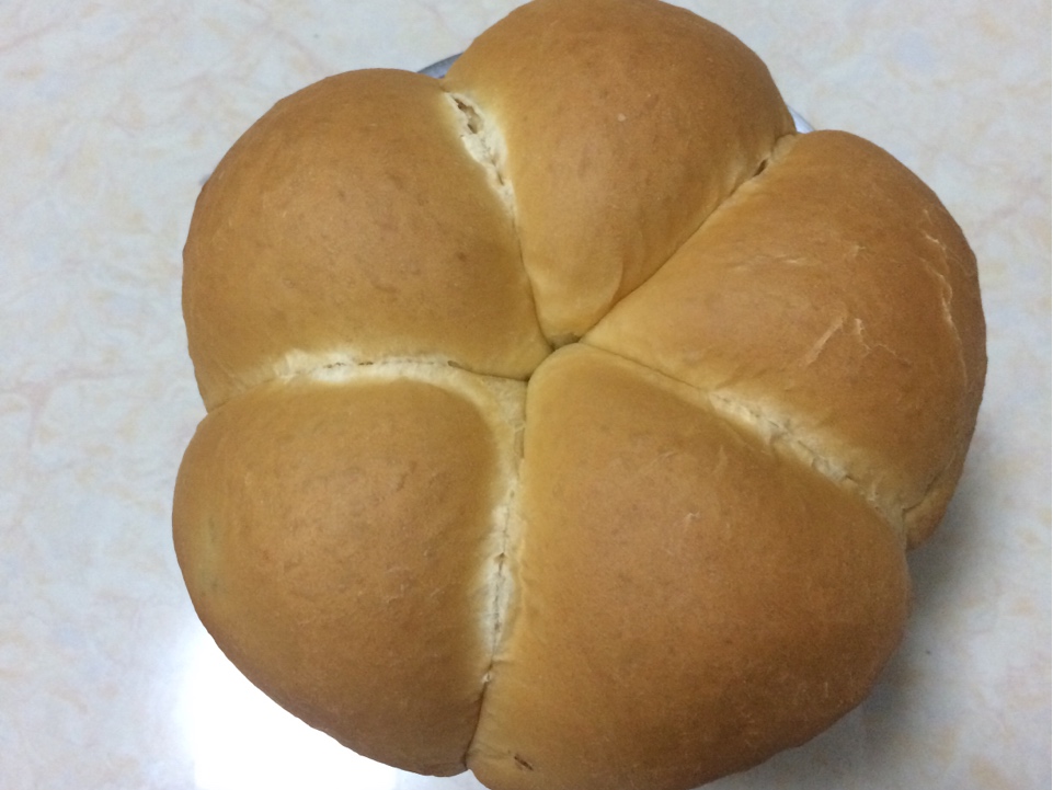 （中種）一次發酵的吐司面包和紅豆小面包的做法 步骤1