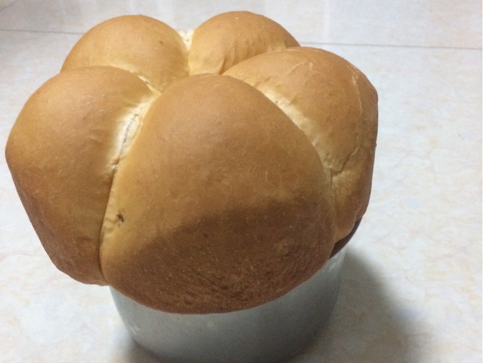 （中種）一次發酵的吐司面包和紅豆小面包的做法 步骤2