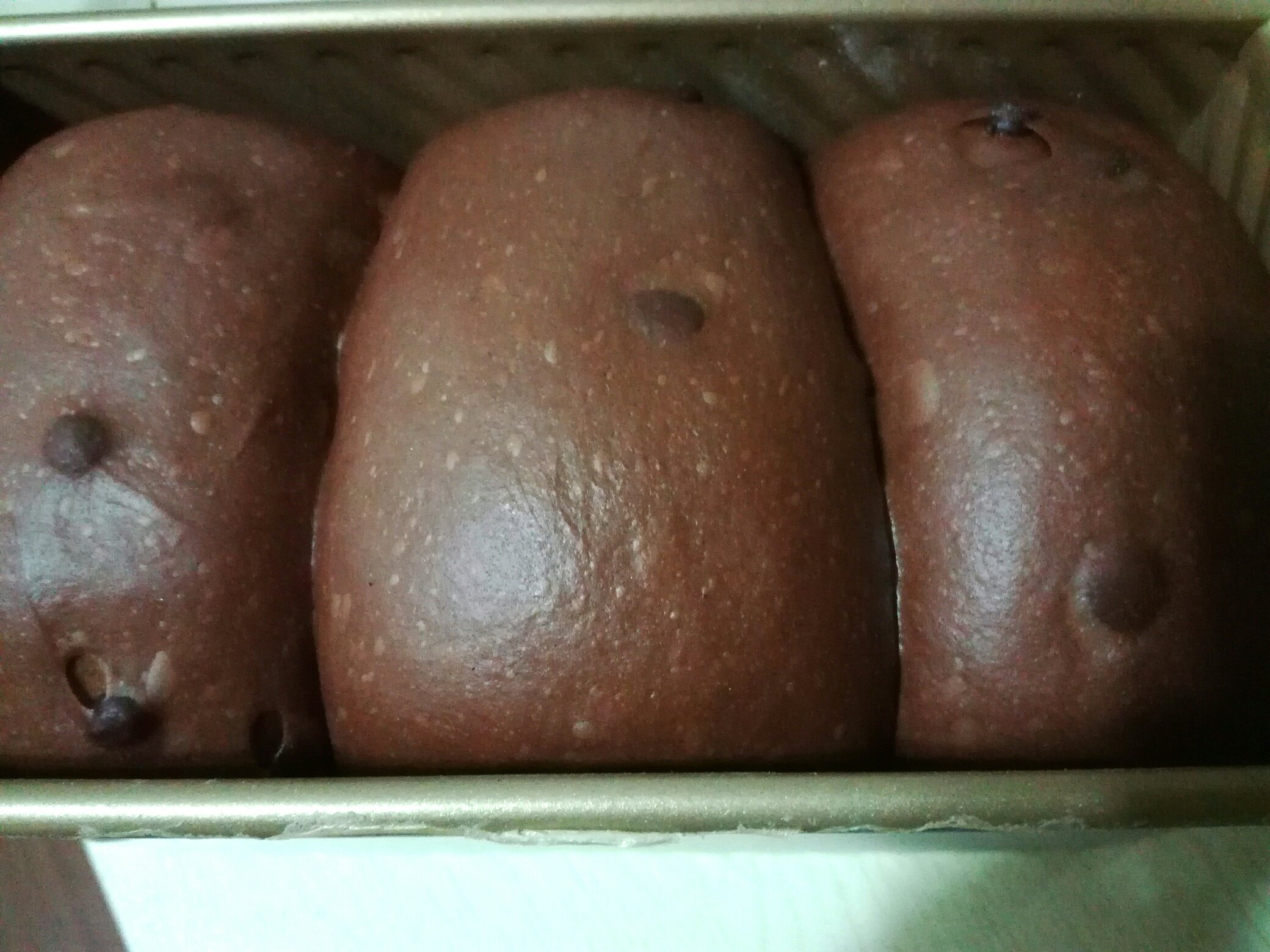 可可巧克力豆土司的做法 步骤9
