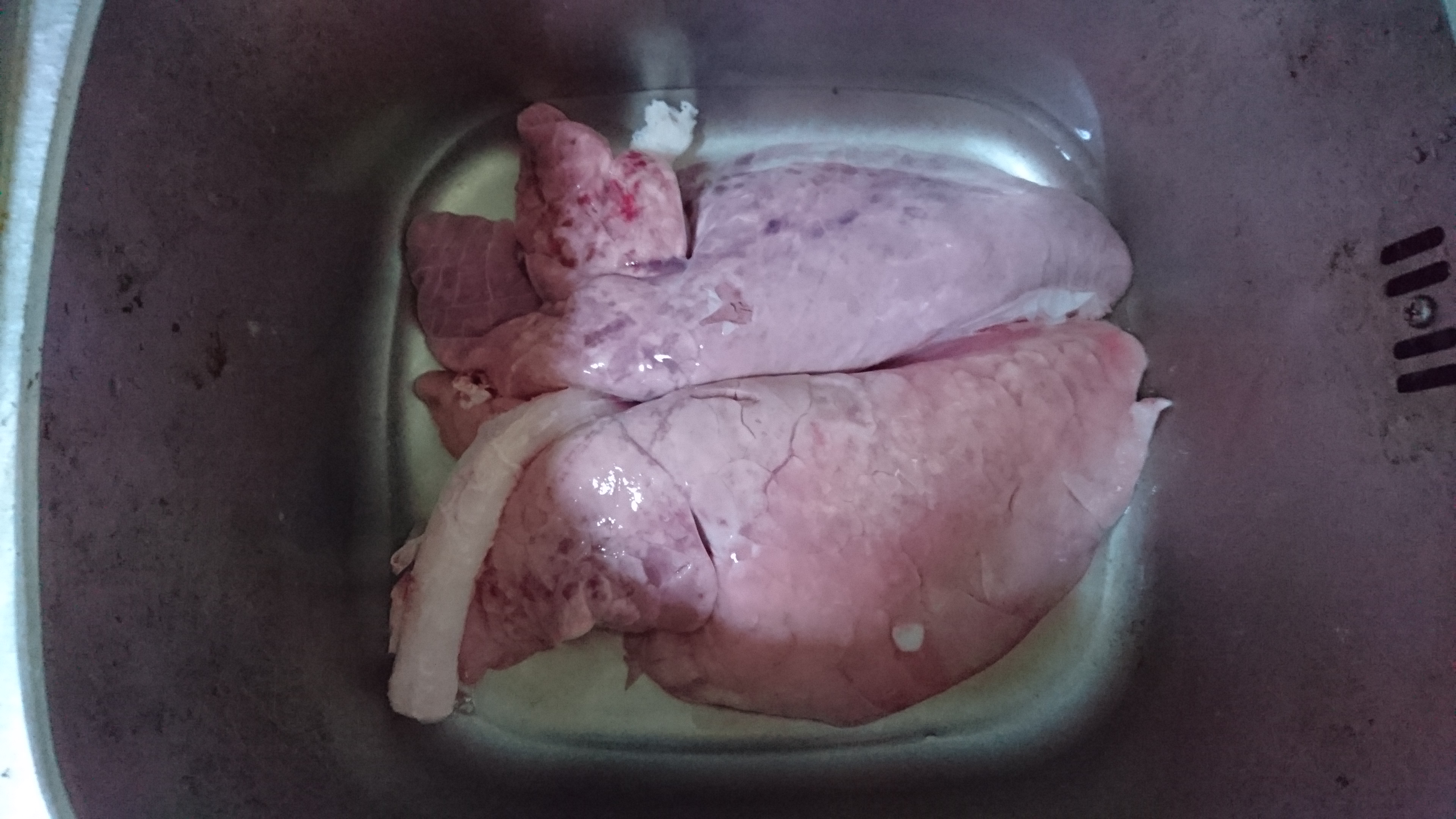 雪梨豬肺湯的做法 步骤1