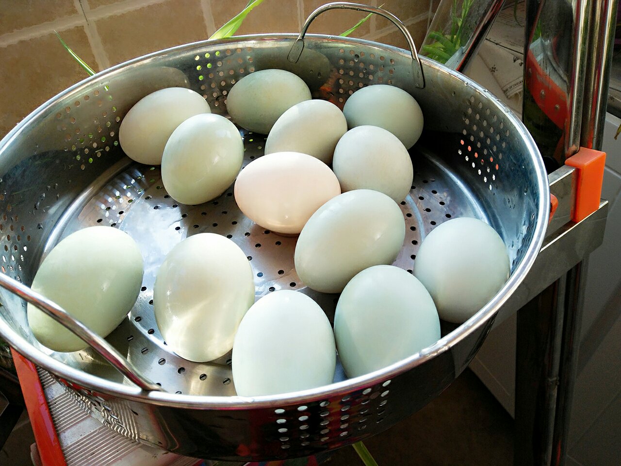 腌制咸鴨蛋的做法 步骤1