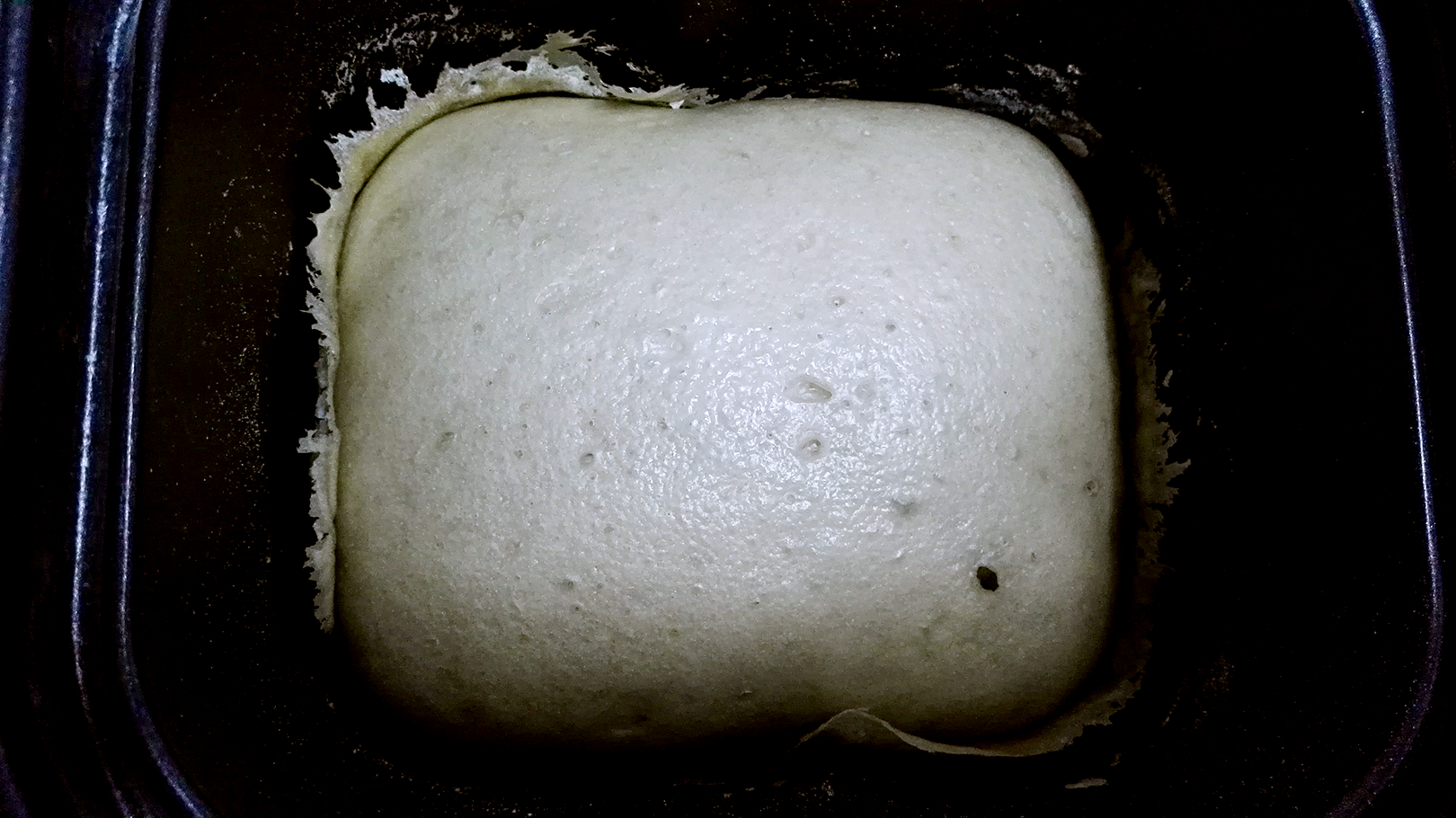 潤唐饅頭面包機自做饅頭的做法 步骤11