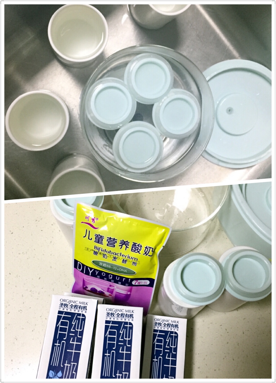 自制川秀兒童菌酸奶的做法 步骤1