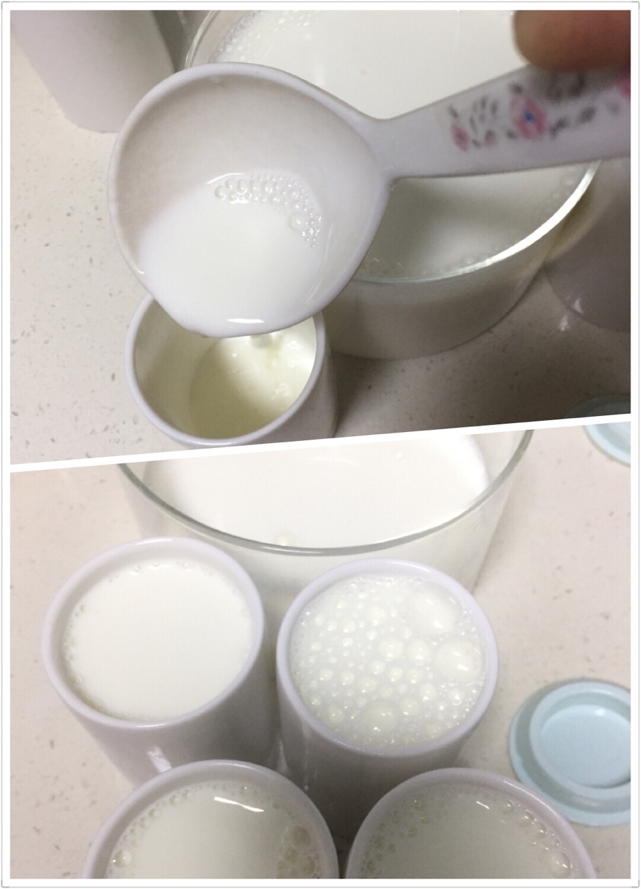 自制川秀兒童菌酸奶的做法 步骤5