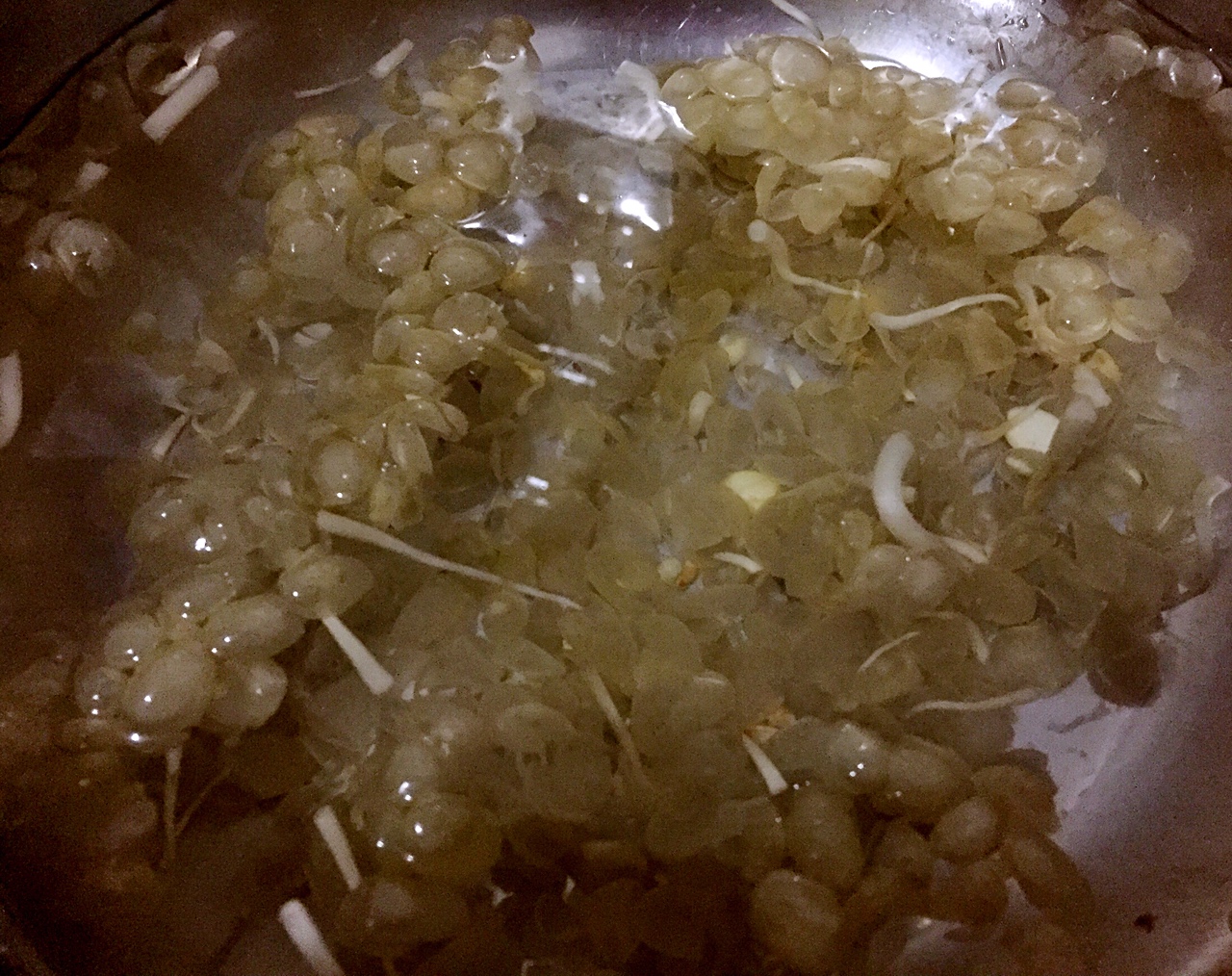 黃豆芽炒肉絲的做法 步骤1