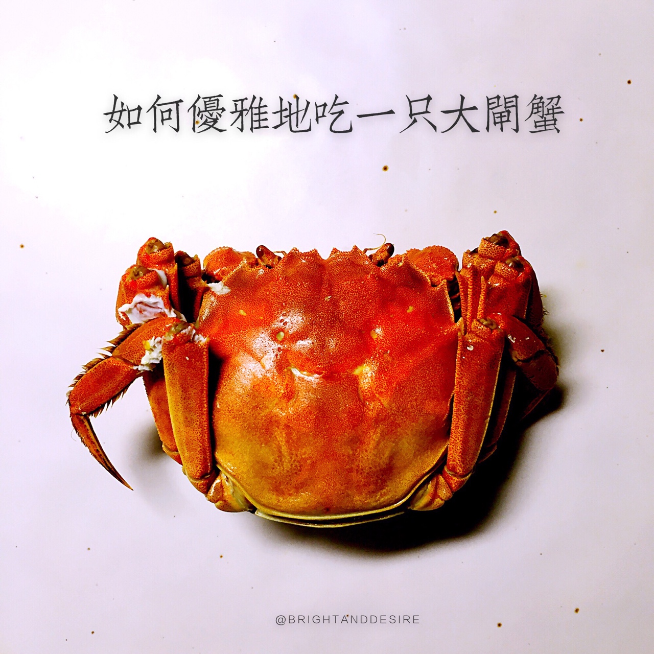 教你優雅吃蟹——清蒸大閘蟹及如何拆蟹的做法 步骤3