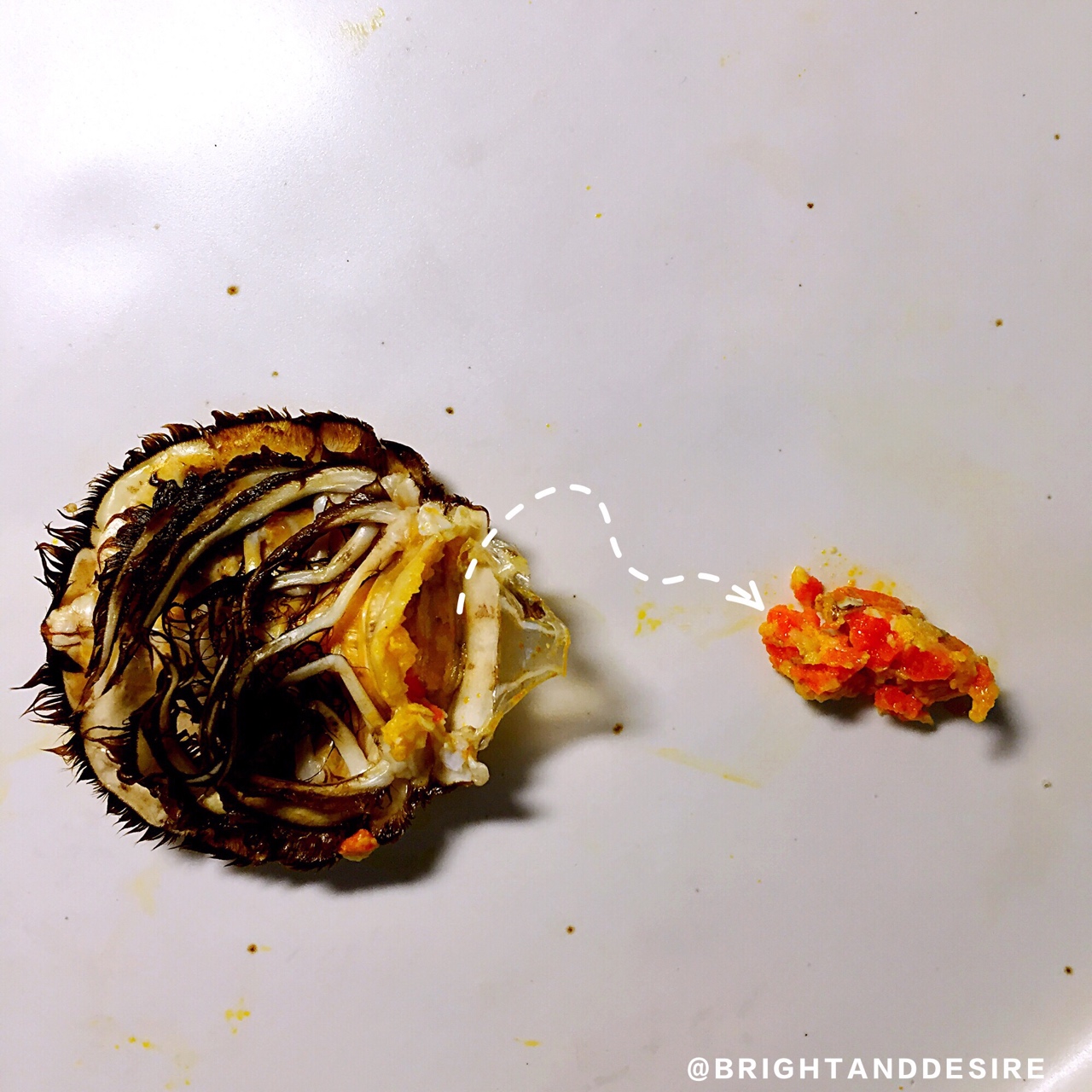 教你優雅吃蟹——清蒸大閘蟹及如何拆蟹的做法 步骤6