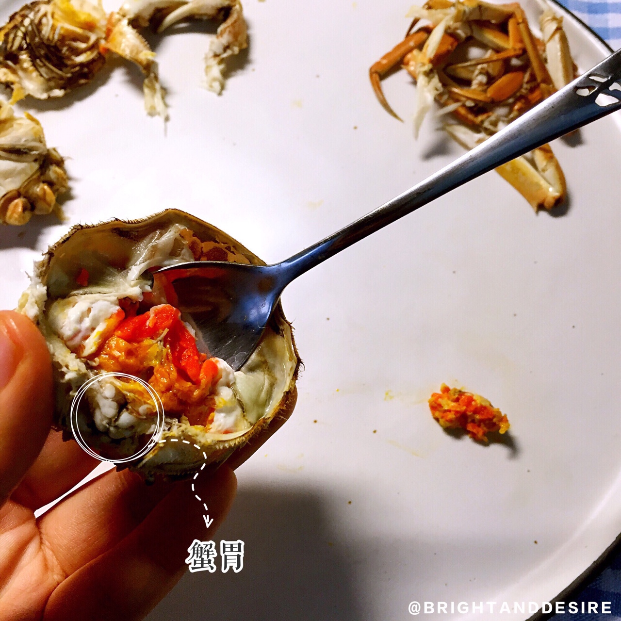 教你優雅吃蟹——清蒸大閘蟹及如何拆蟹的做法 步骤7