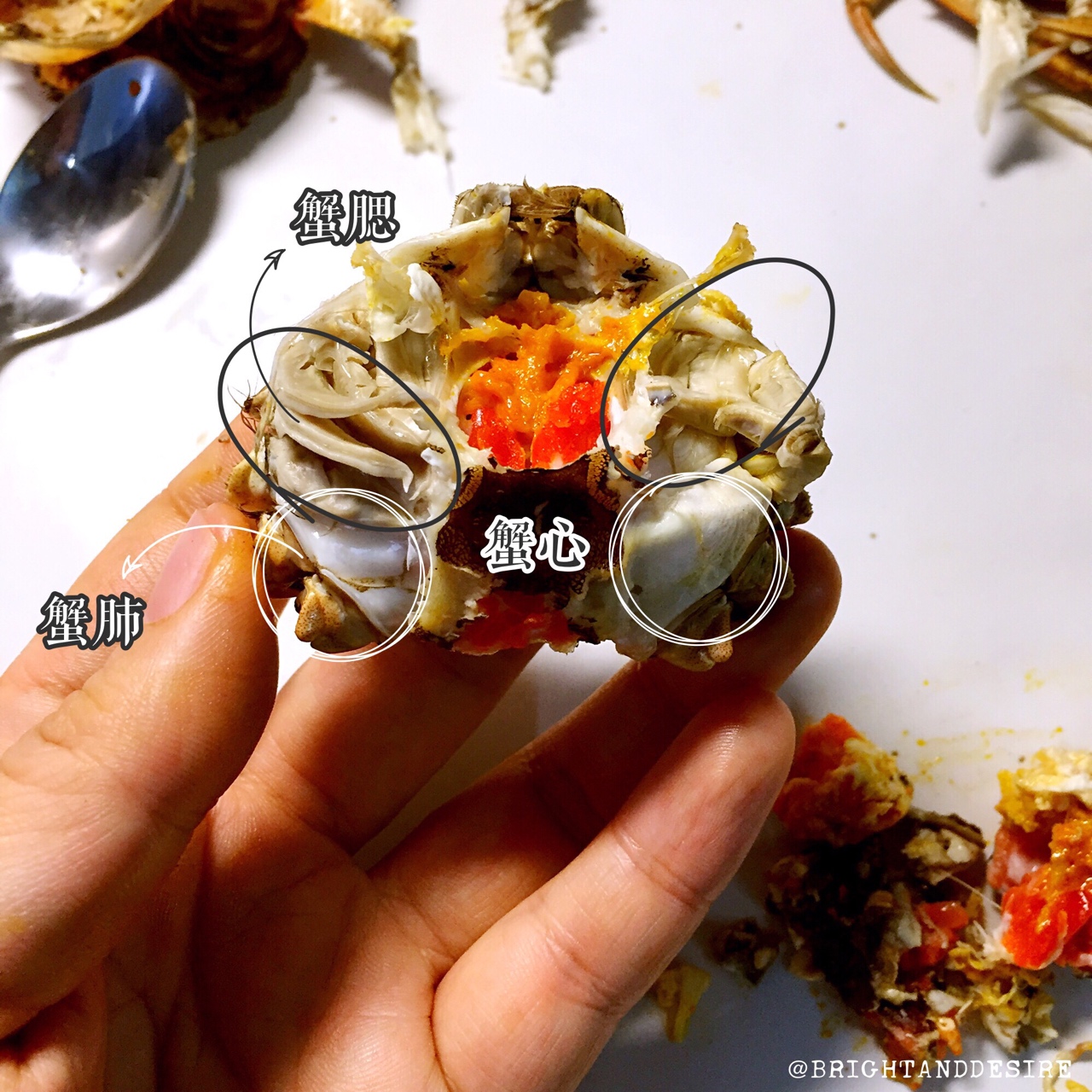 教你優雅吃蟹——清蒸大閘蟹及如何拆蟹的做法 步骤9