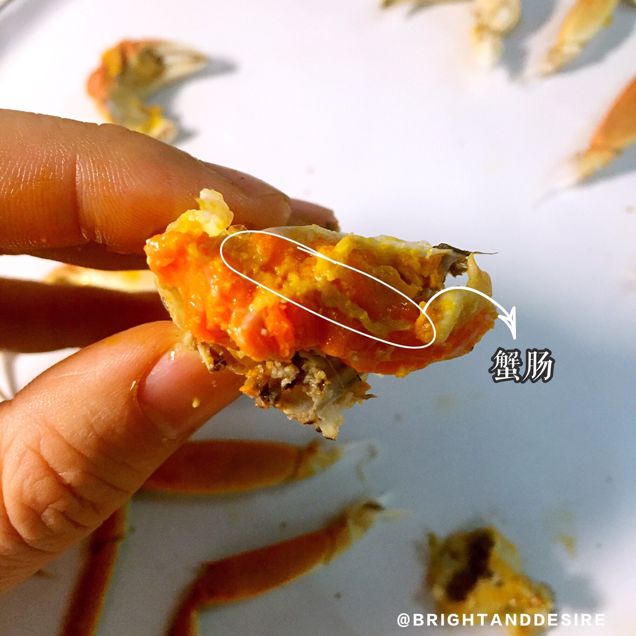 教你優雅吃蟹——清蒸大閘蟹及如何拆蟹的做法 步骤10