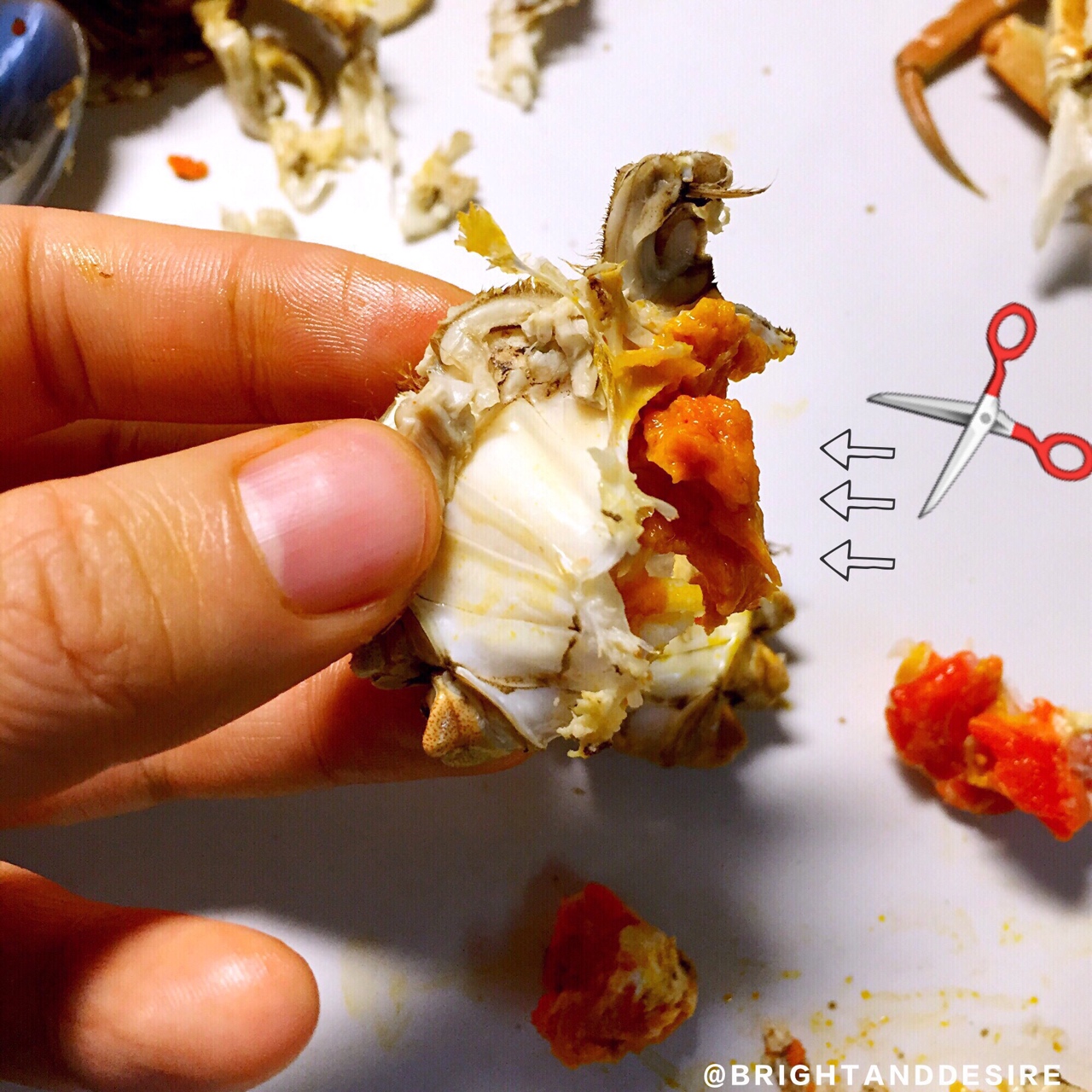 教你優雅吃蟹——清蒸大閘蟹及如何拆蟹的做法 步骤11
