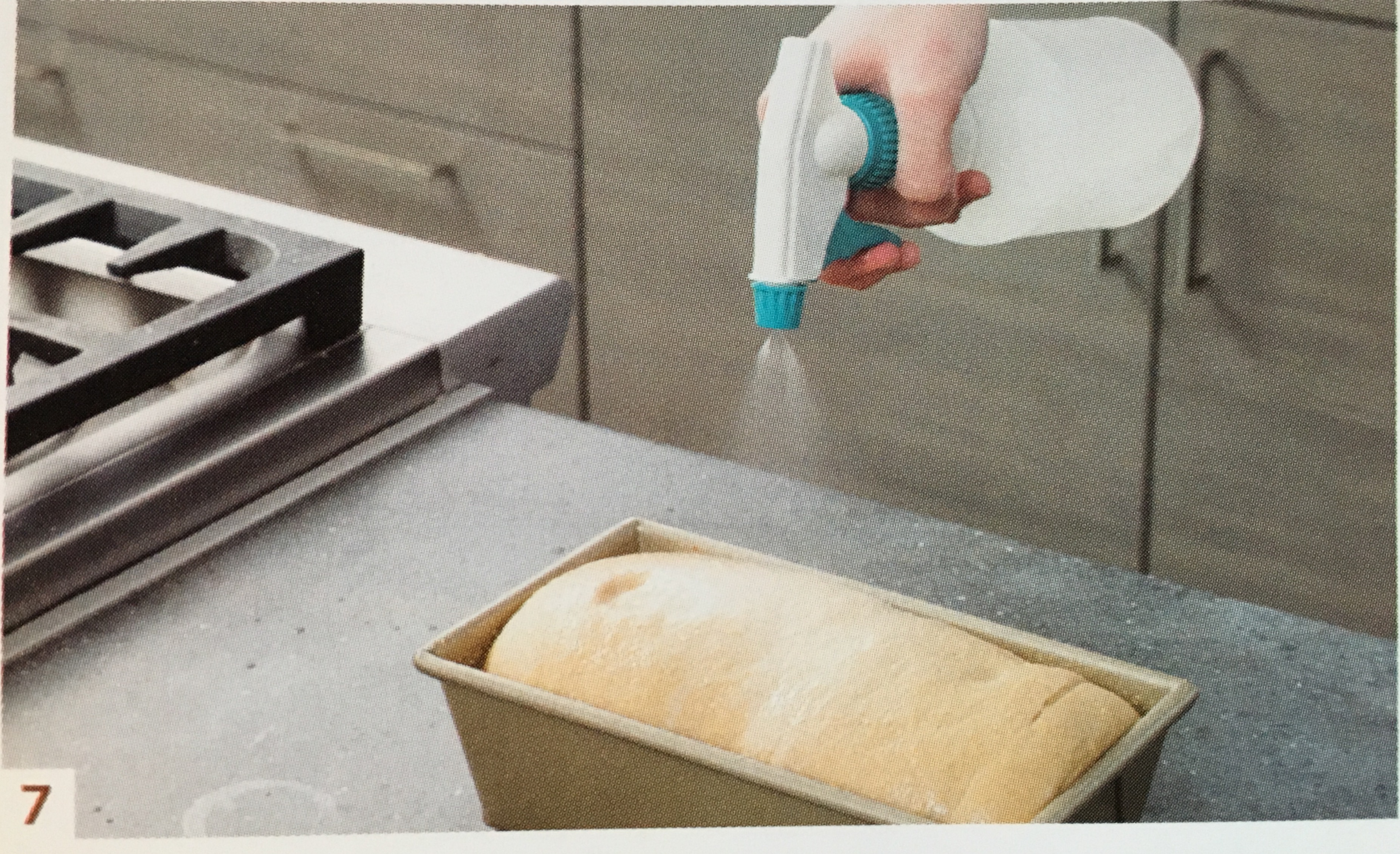 樸實無華不代表寡淡無味 --- Anadama面包的做法 步骤7