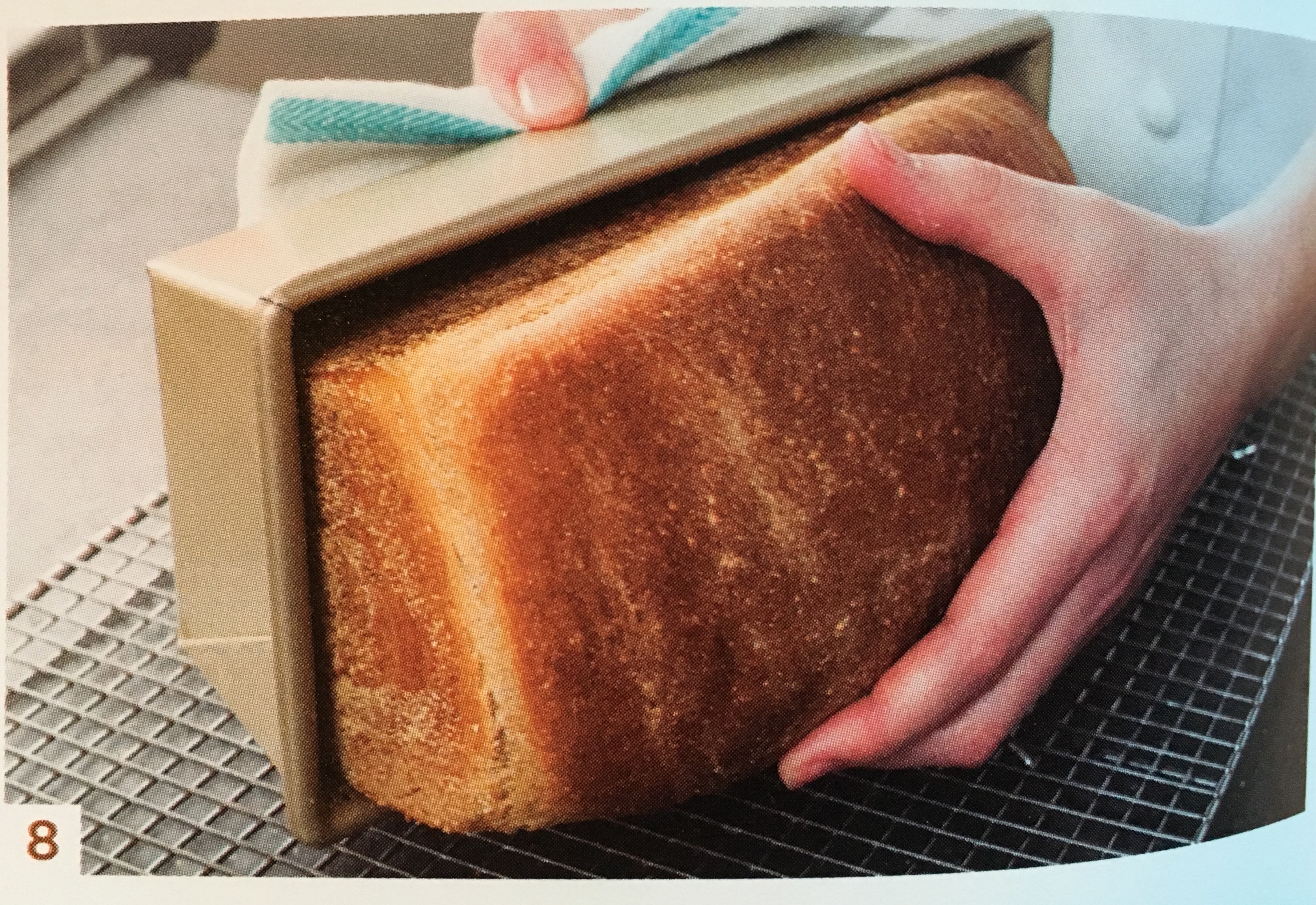 樸實無華不代表寡淡無味 --- Anadama面包的做法 步骤8