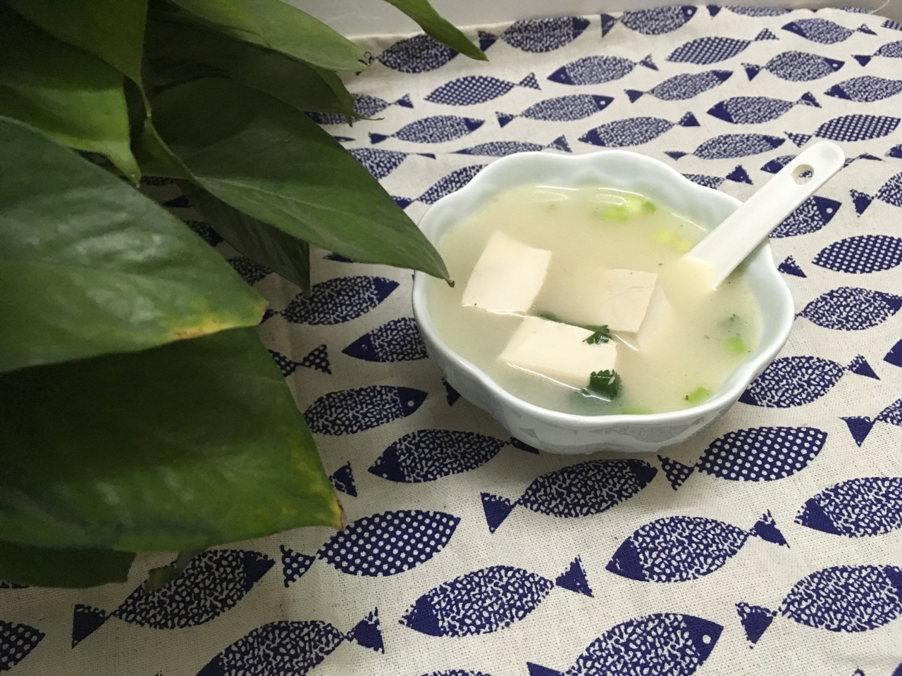 坤博砂鍋之鯽魚豆腐湯的做法 步骤9