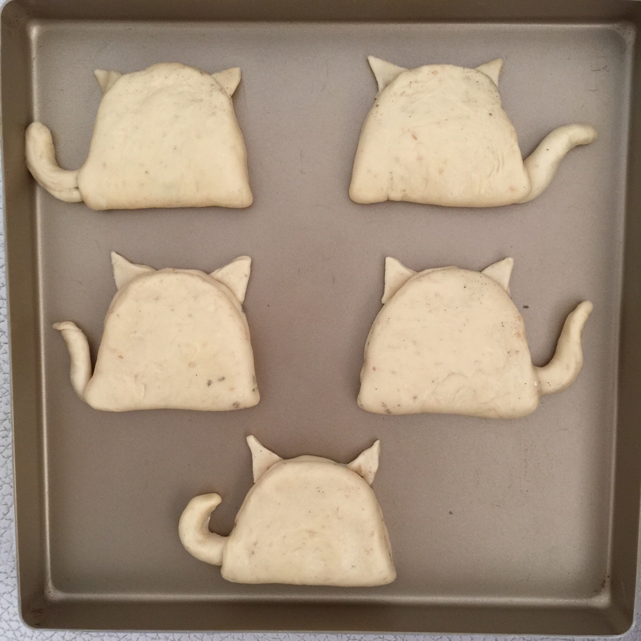 可愛貓--全麥蜂蜜小面包的做法 步骤9