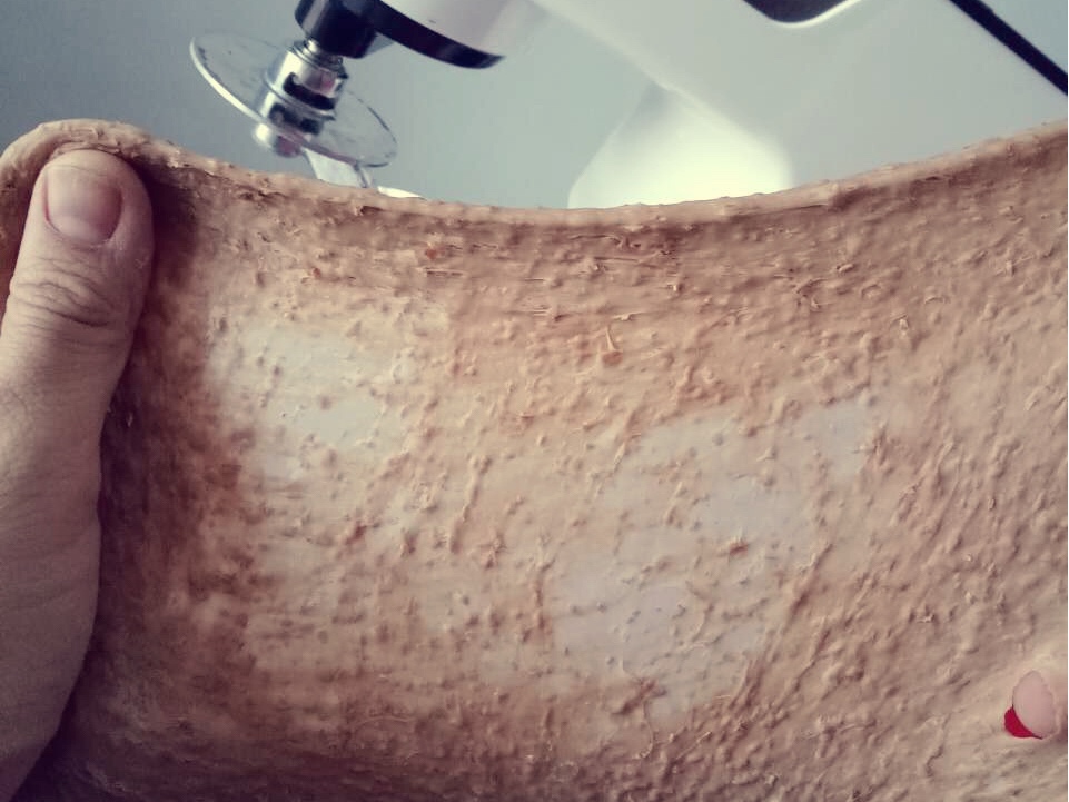 全麥面包，全麥吐司(一次發酵)佳木木烘焙用品的做法 步骤4