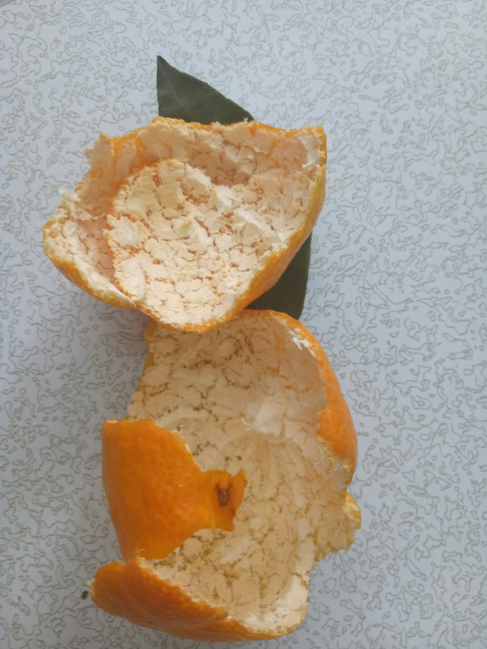 辣椒橘子皮的做法 步骤1