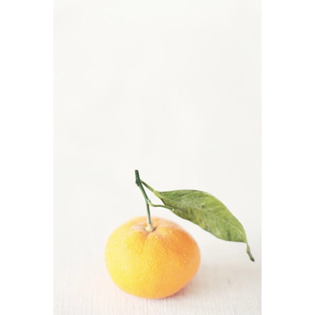 【GKS】杏仁迷迭香餅配香草橘子醬 Clementine Marmalade & Biscuits 　 la Roost的做法 步骤3