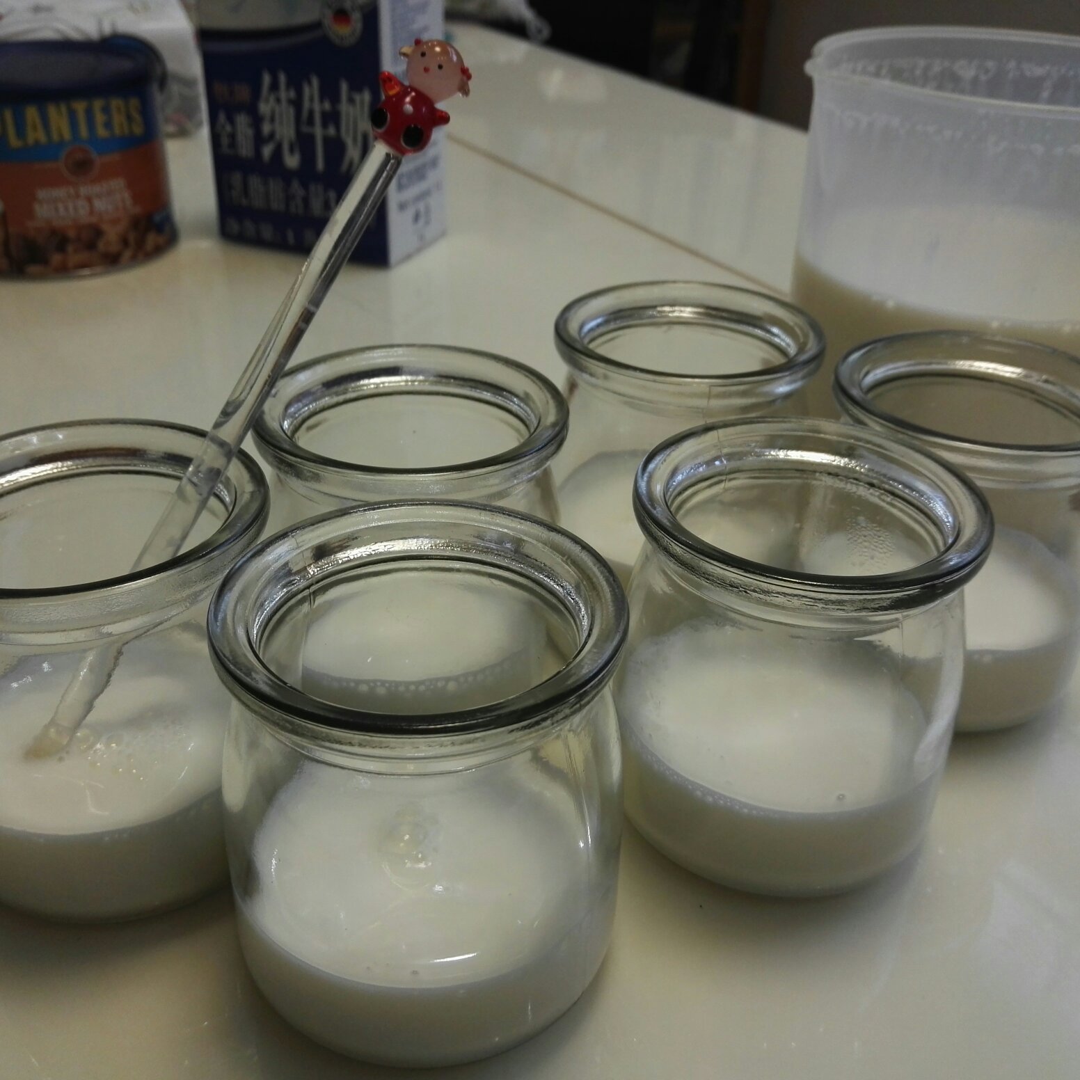 烤箱自制酸奶的做法 步骤3
