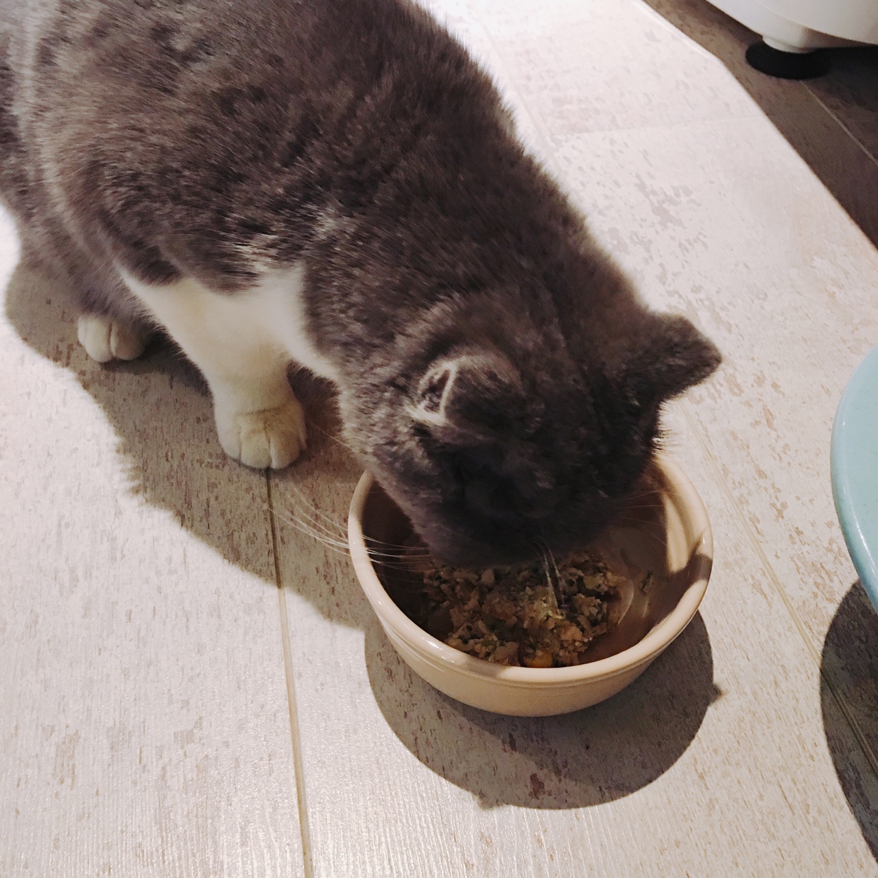 貓飯（貓貓食用）基礎雞肉版的做法 步骤9