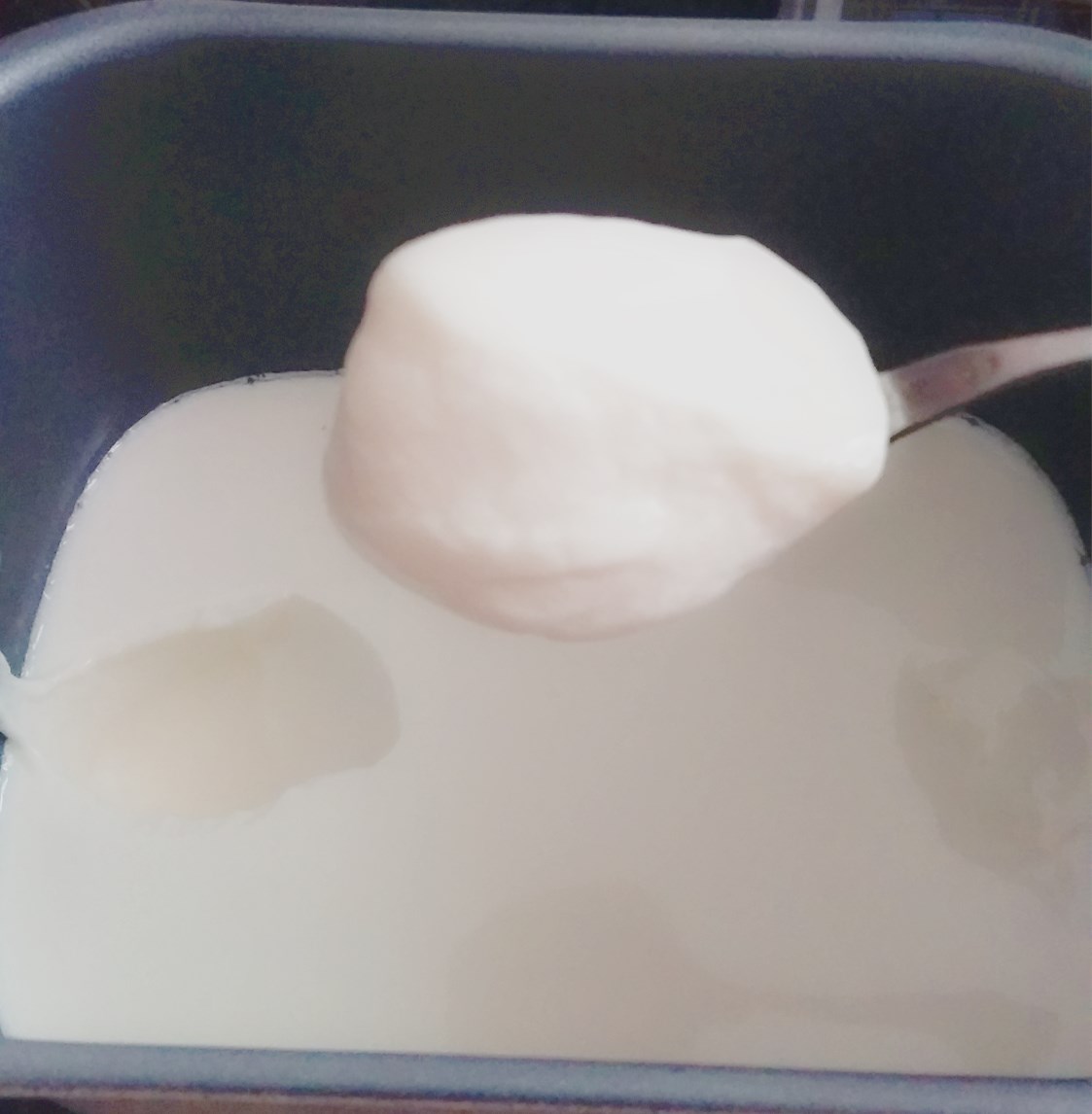 自制老酸奶（面包機版）的做法 步骤9