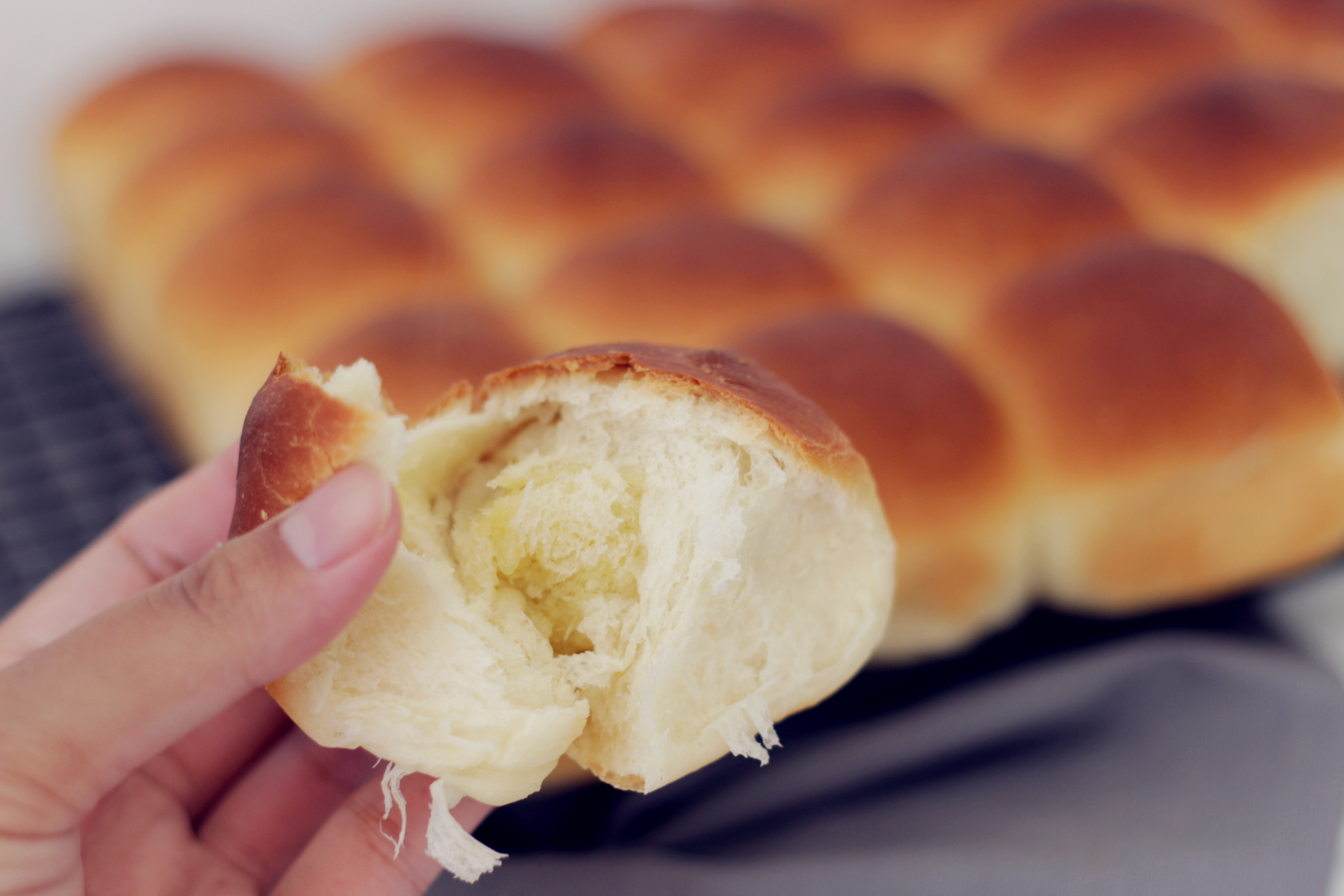 煉乳夾心小面包 中種法的做法 步骤13