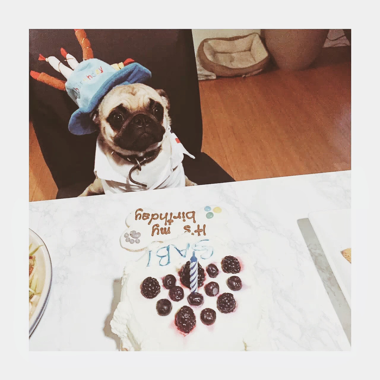 Sabi狗狗的一歲生日蛋糕——低油無糖南瓜蛋糕的做法 步骤7