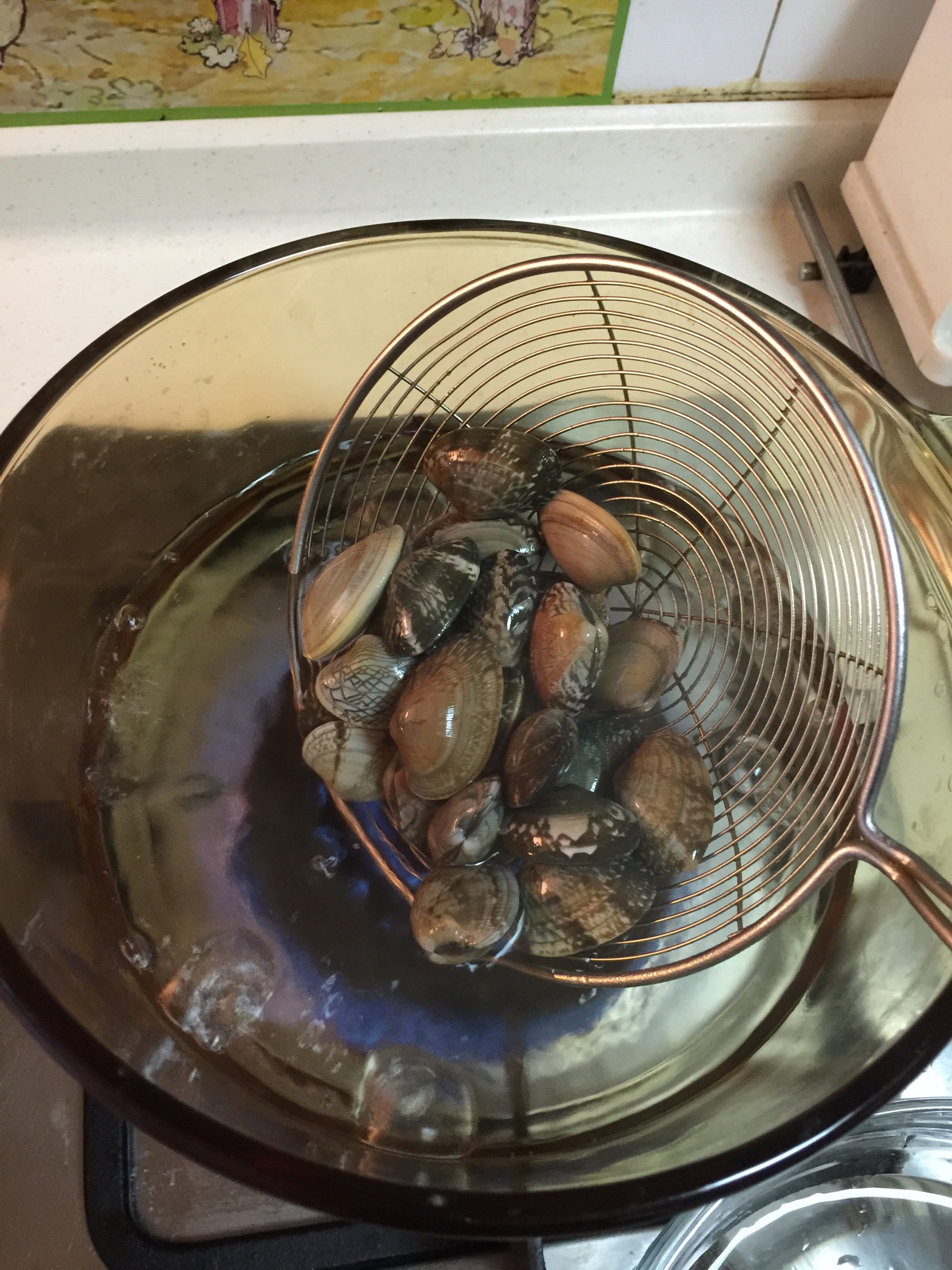 蛤蜊蒸蛋的做法 步骤2