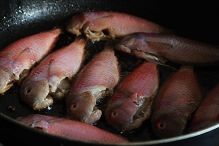 香煎鸚哥魚的做法 步骤2