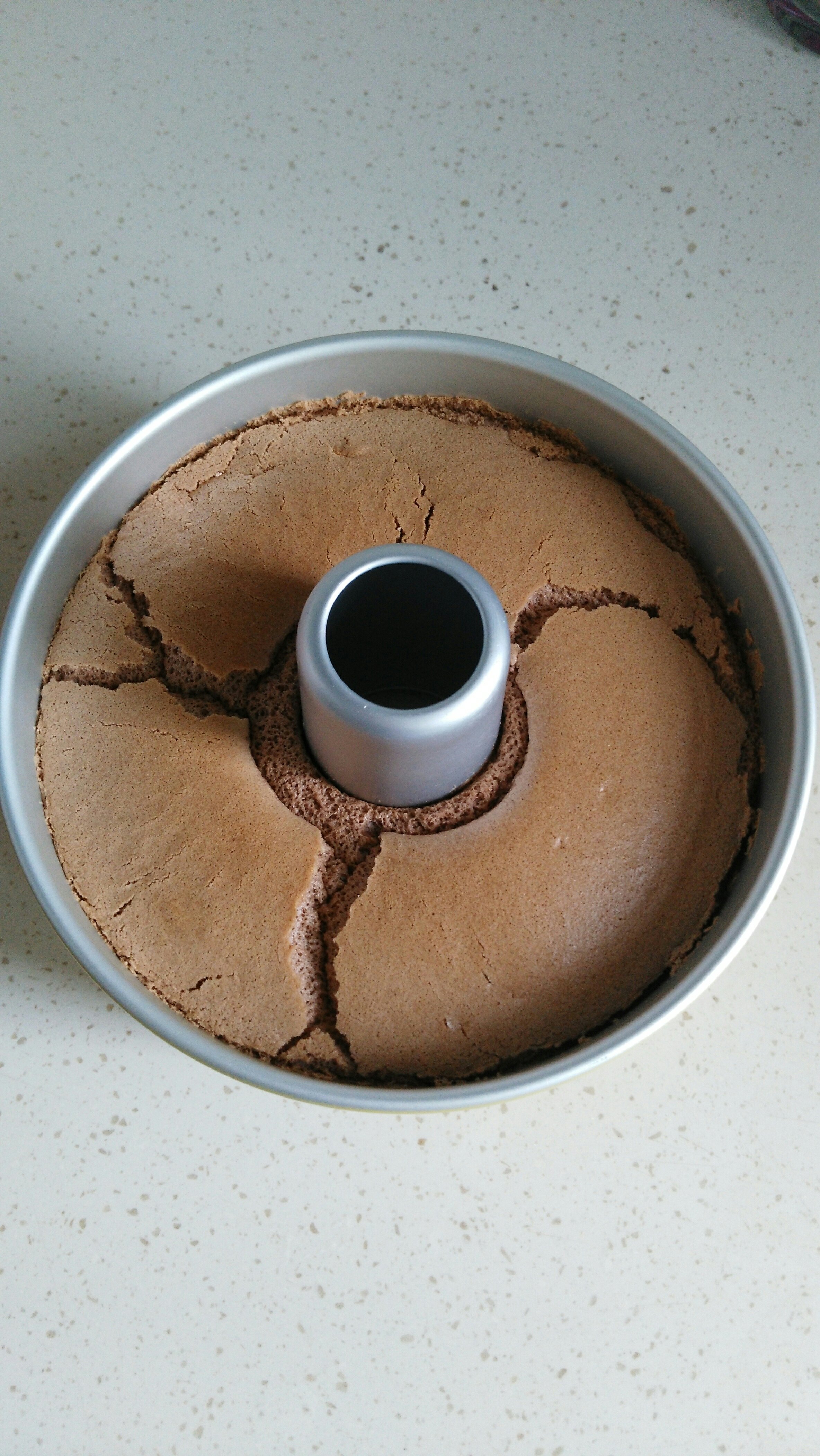 酸奶可可戚風蛋糕的做法 步骤11