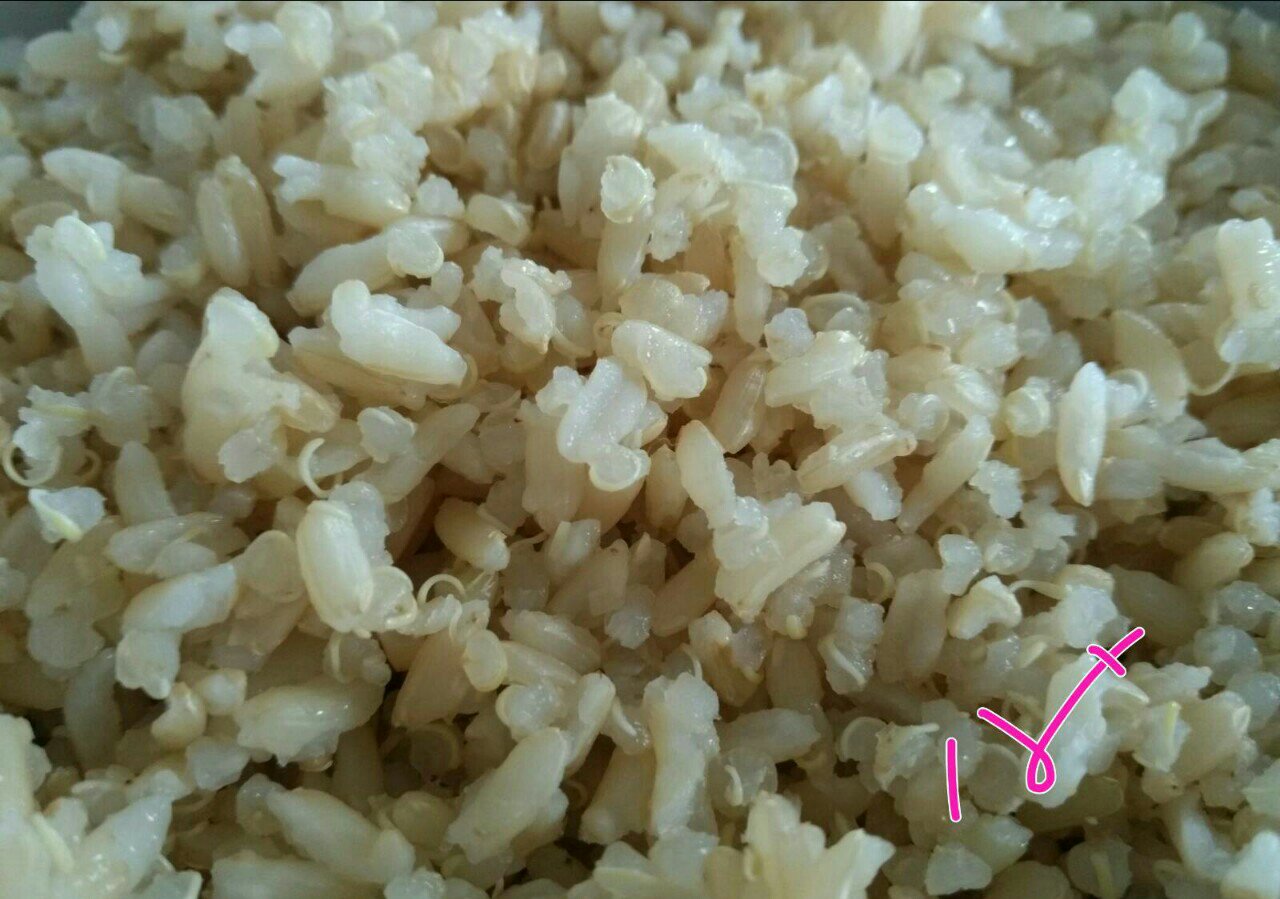 菠蘿蝦仁培根藜麥糙米飯的做法 步骤7