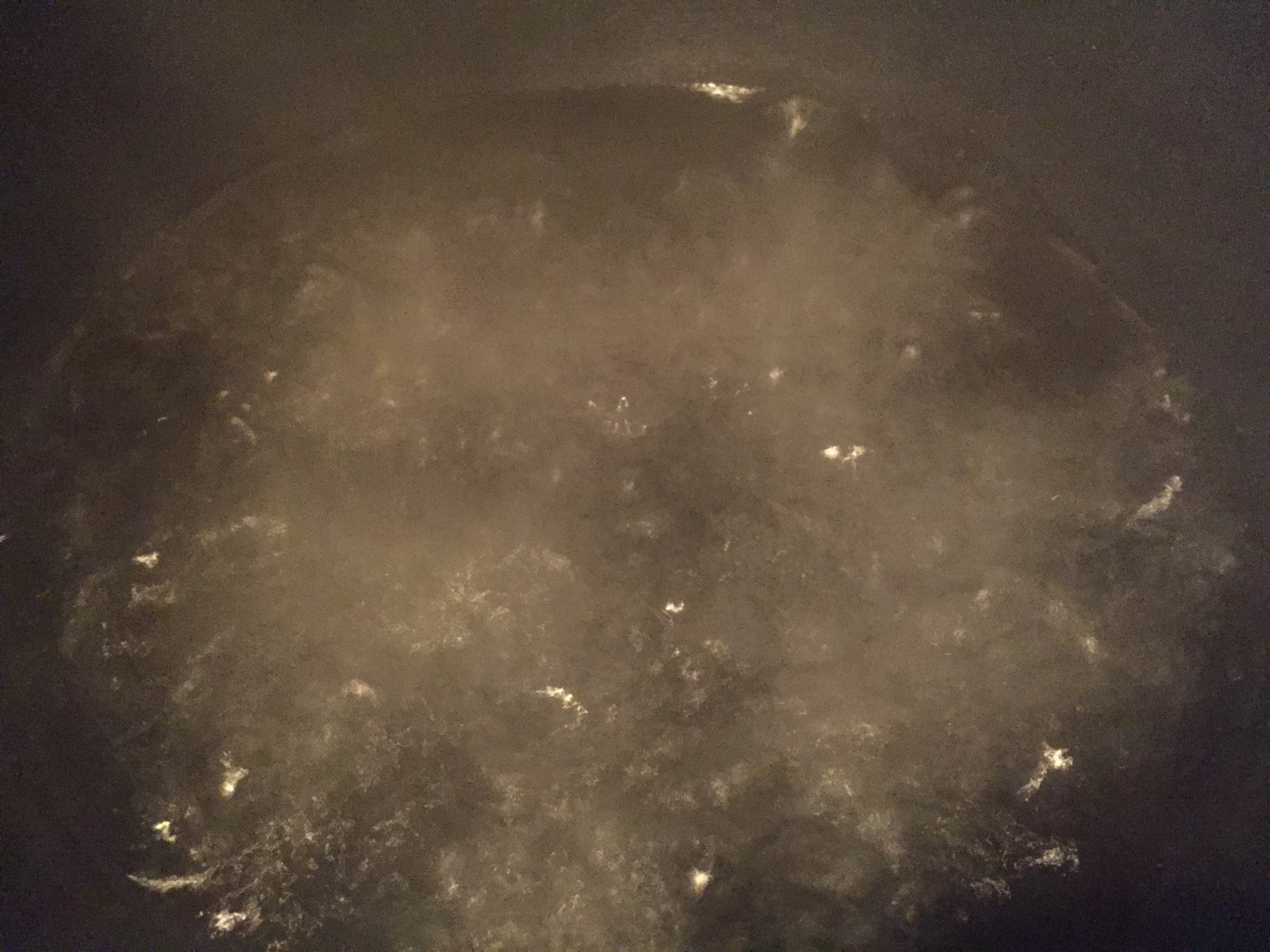 白菜蝦皮(海米)湯的做法 步骤2