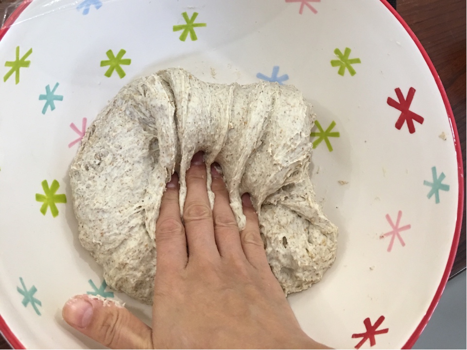 寶寶輔食 冷藏發酵法免揉（折疊法）歐式面包自留配方的做法 步骤4
