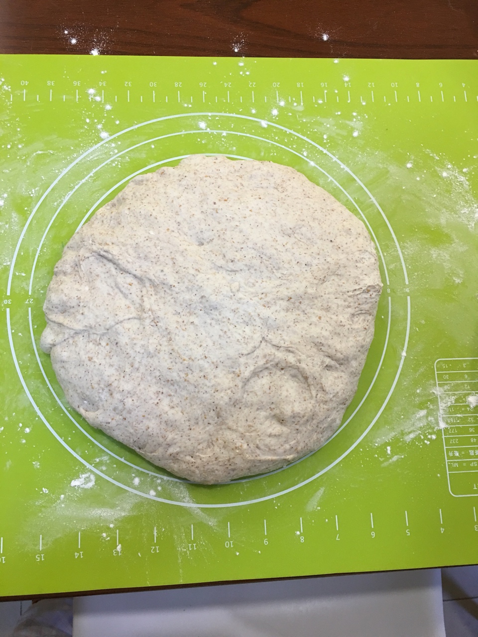 寶寶輔食 冷藏發酵法免揉（折疊法）歐式面包自留配方的做法 步骤7