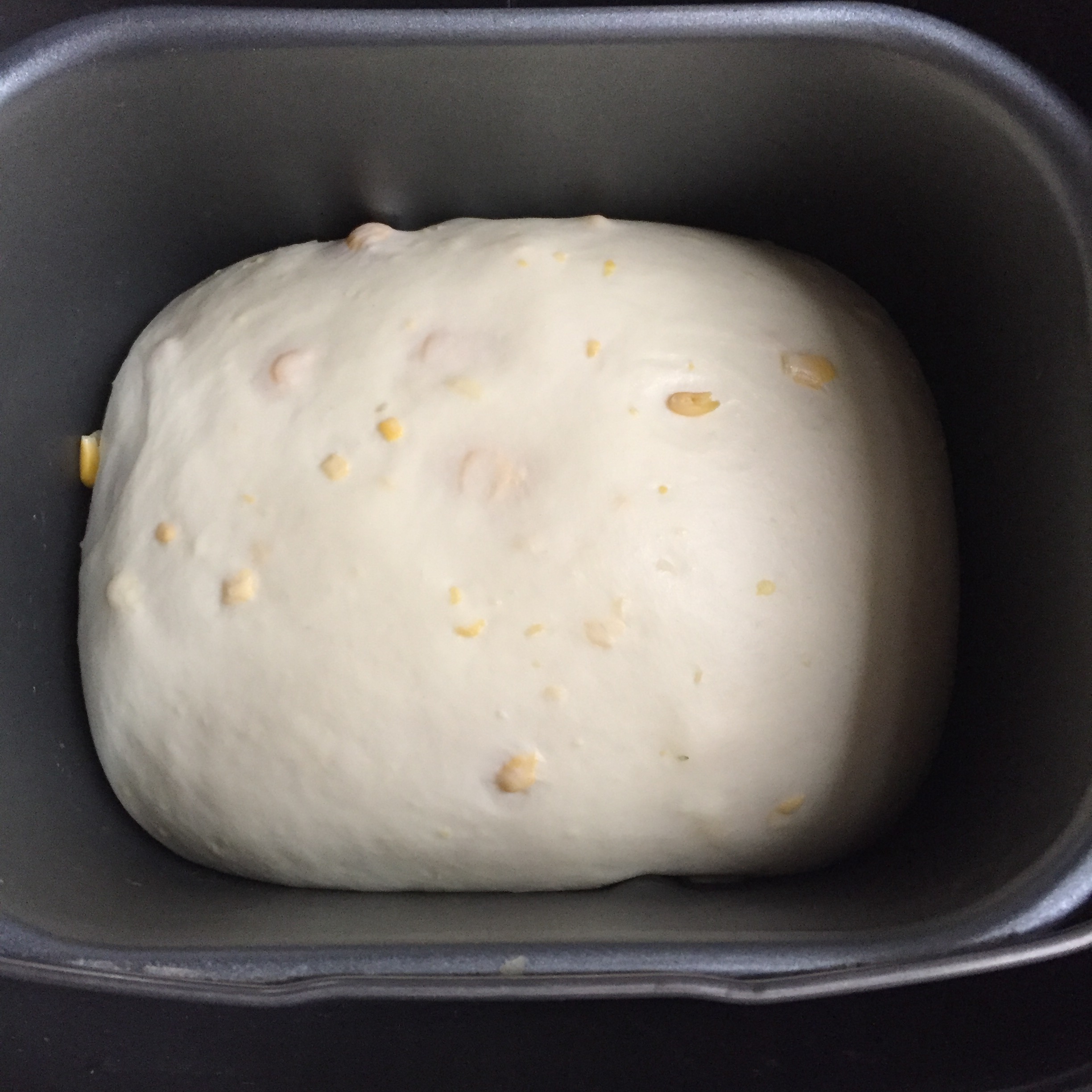 鮮奶玉米面包的做法 步骤3