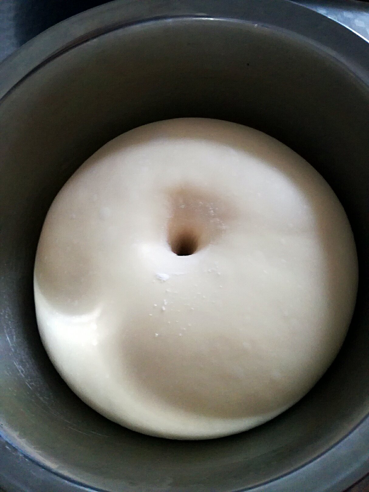 蜜豆椰蓉泡漿酸奶包的做法 步骤3