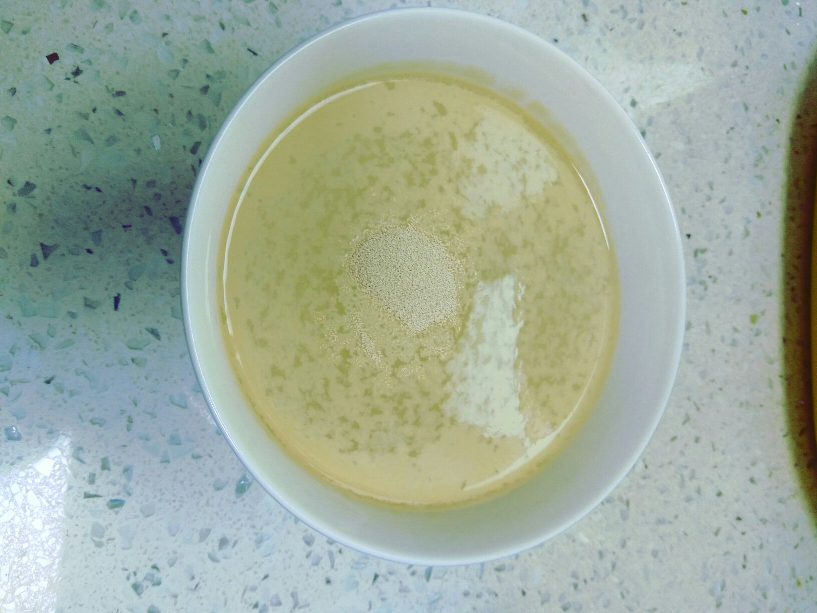 家庭版雞汁灌湯生煎包的做法 步骤5