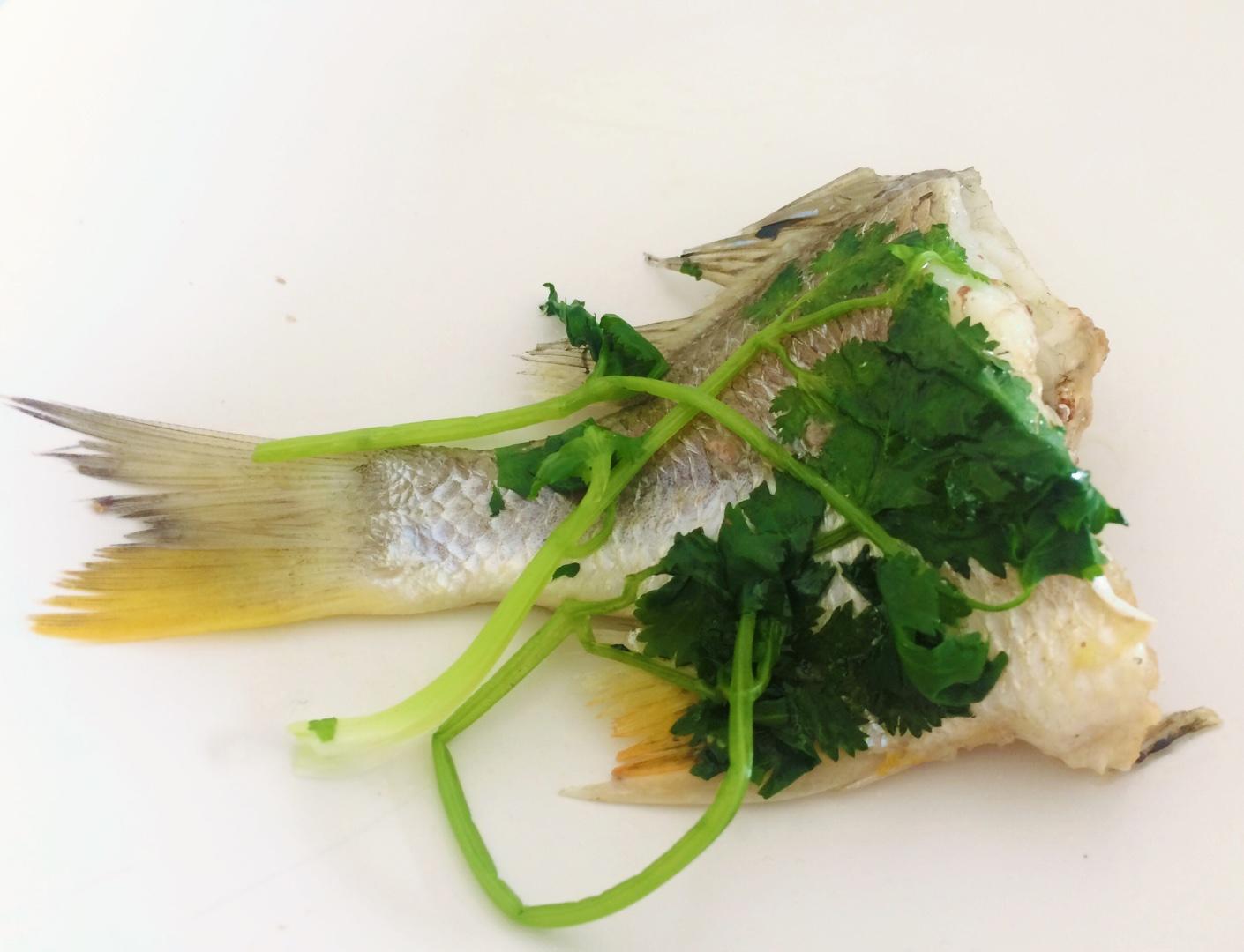 廣東海邊家常砂鍋焗魚的做法 步骤13