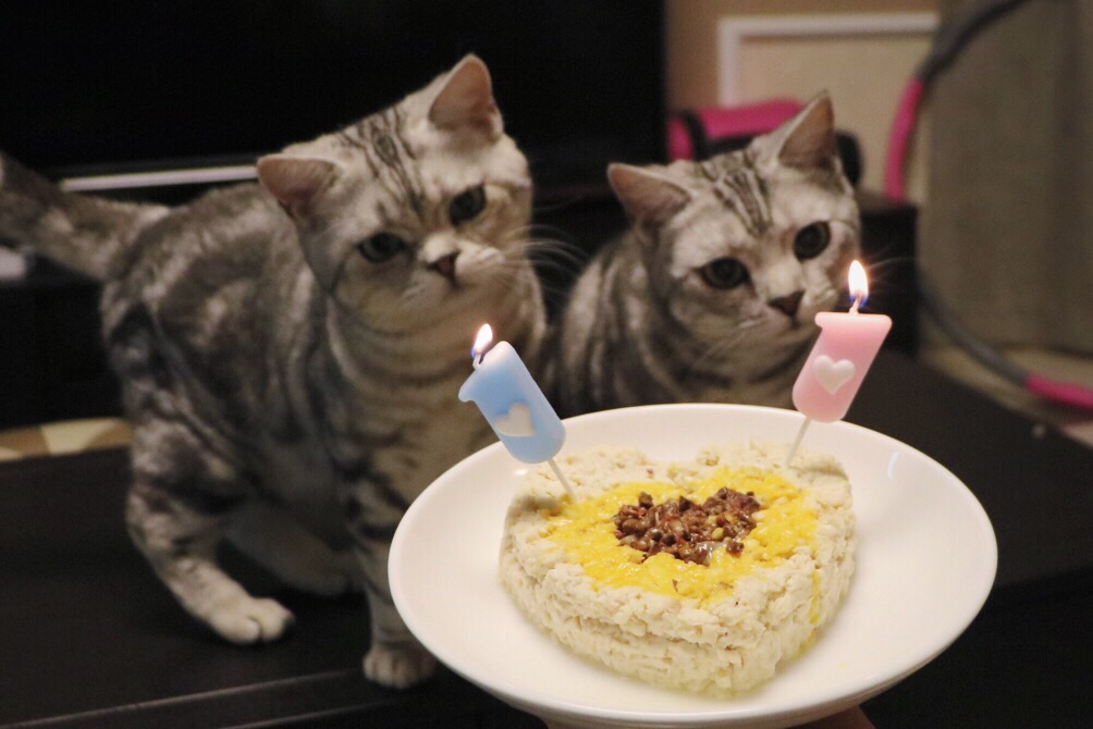 【蝸醬貓飯】雞肉版生日蛋糕的做法 步骤4
