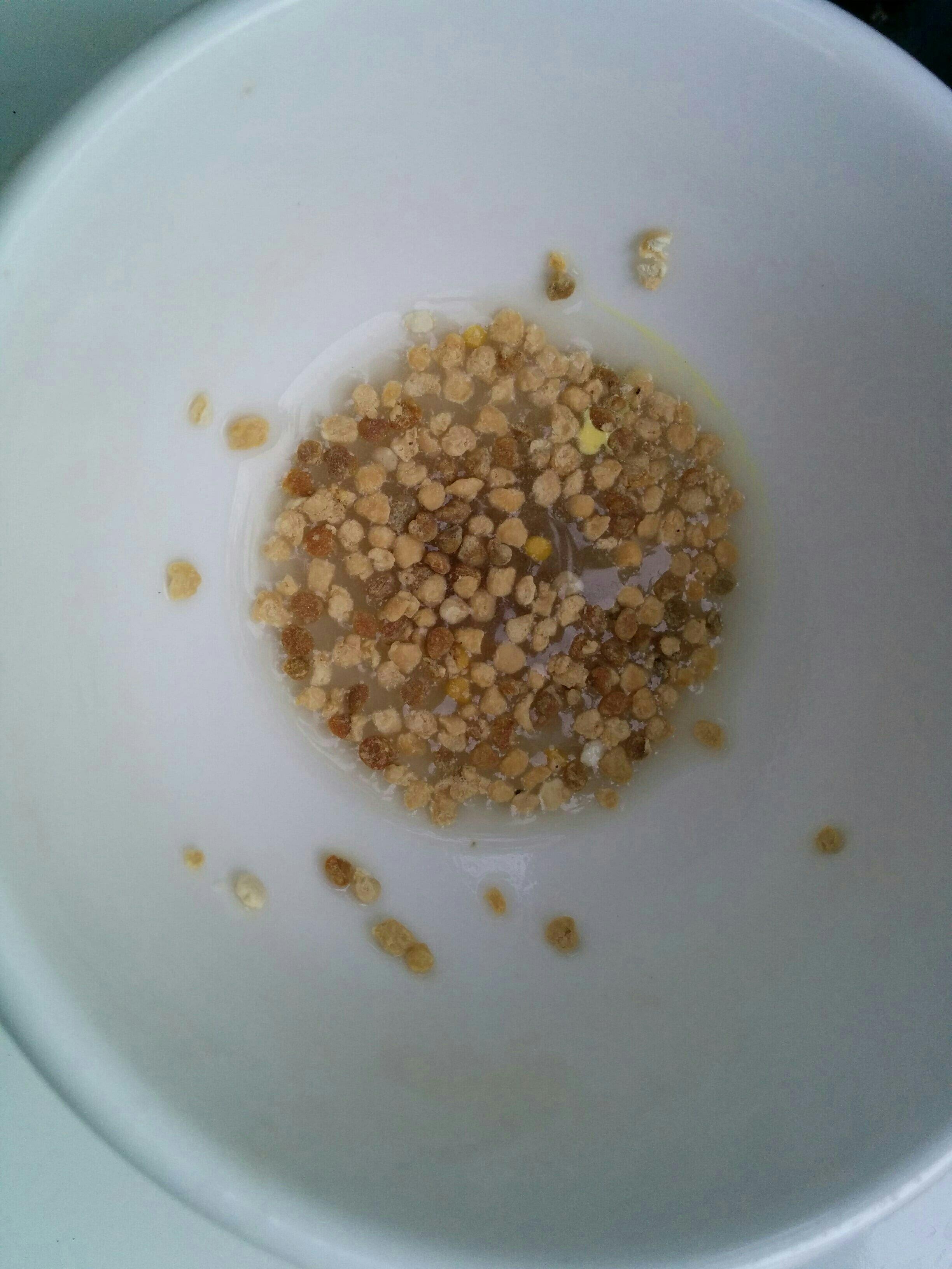 熟豆法鷹嘴豆豆奶/酸奶(花粉/攪拌型)的做法 步骤4