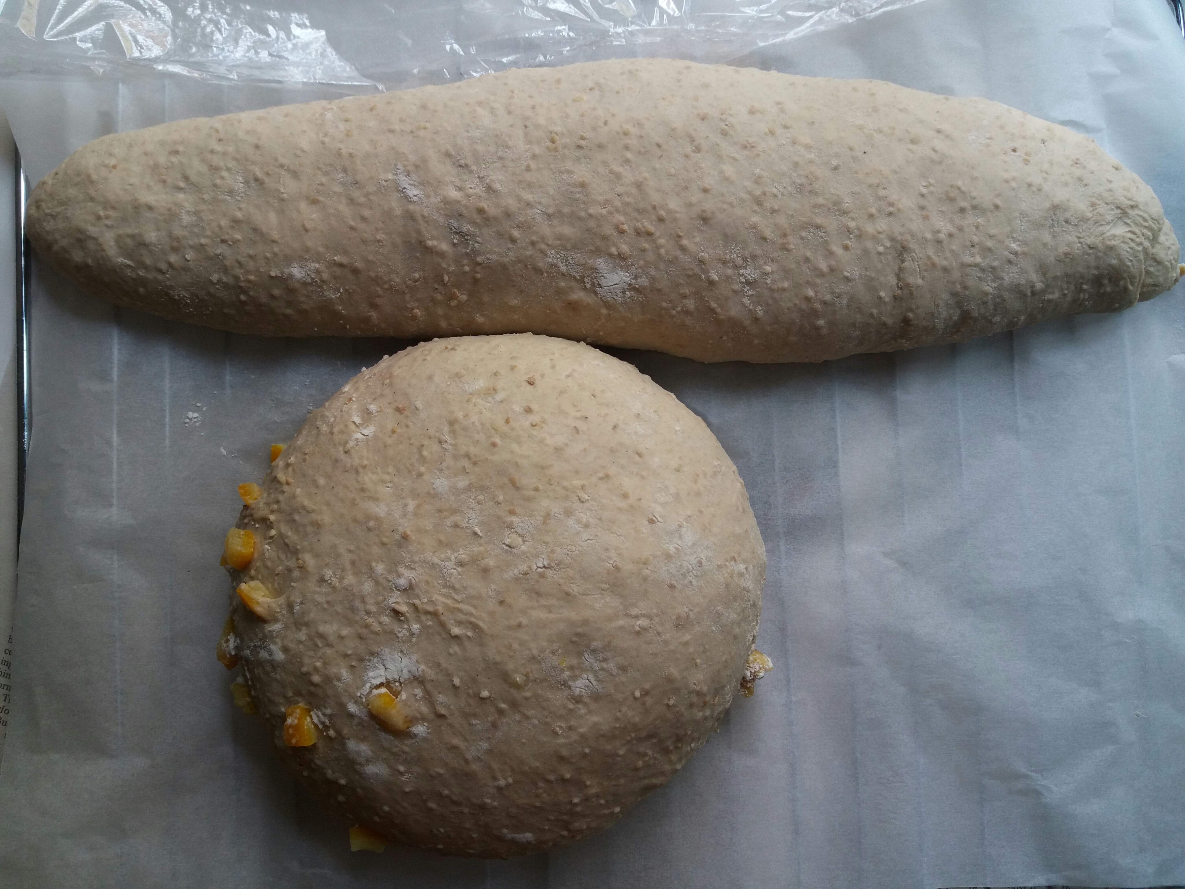 義大利鄉村天然酵母麪包 Italian country sourdough bread的做法 步骤5