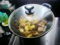 土豆燜土雞的做法的做法 步骤9