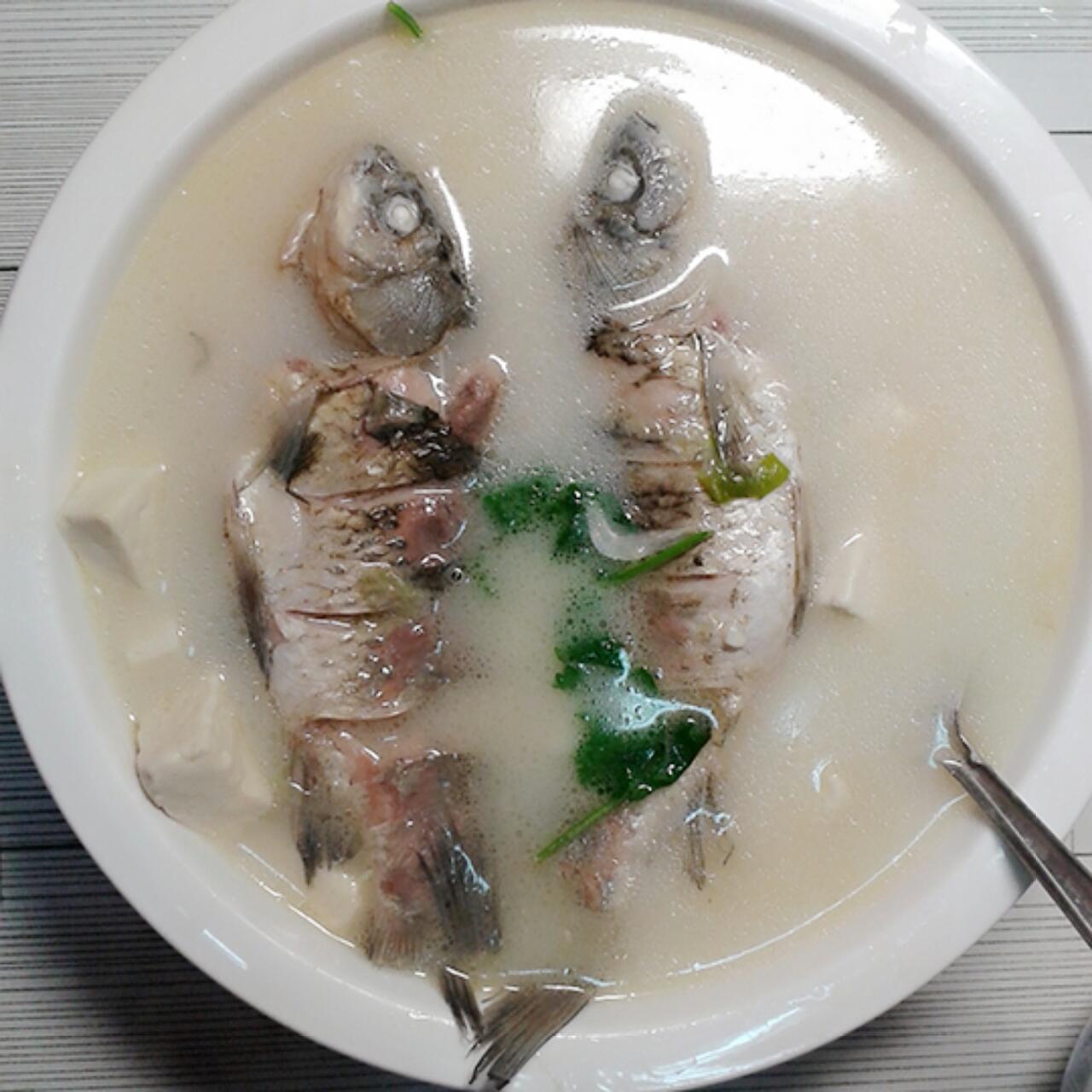 （白湯）鯽魚燉豆腐的做法 步骤5