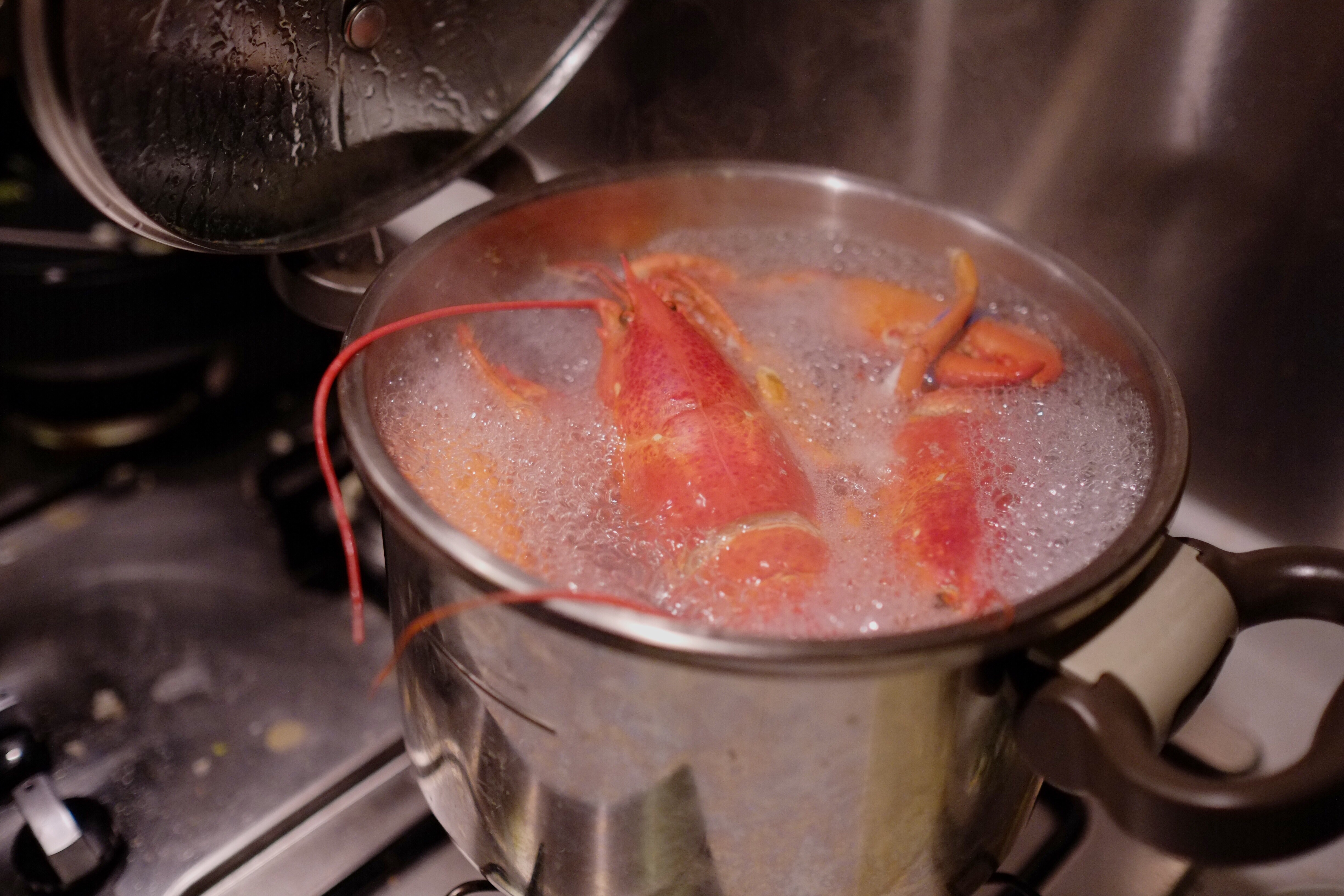 龍蝦冷盤佐藏紅花火腿奶油醬的做法 步骤2