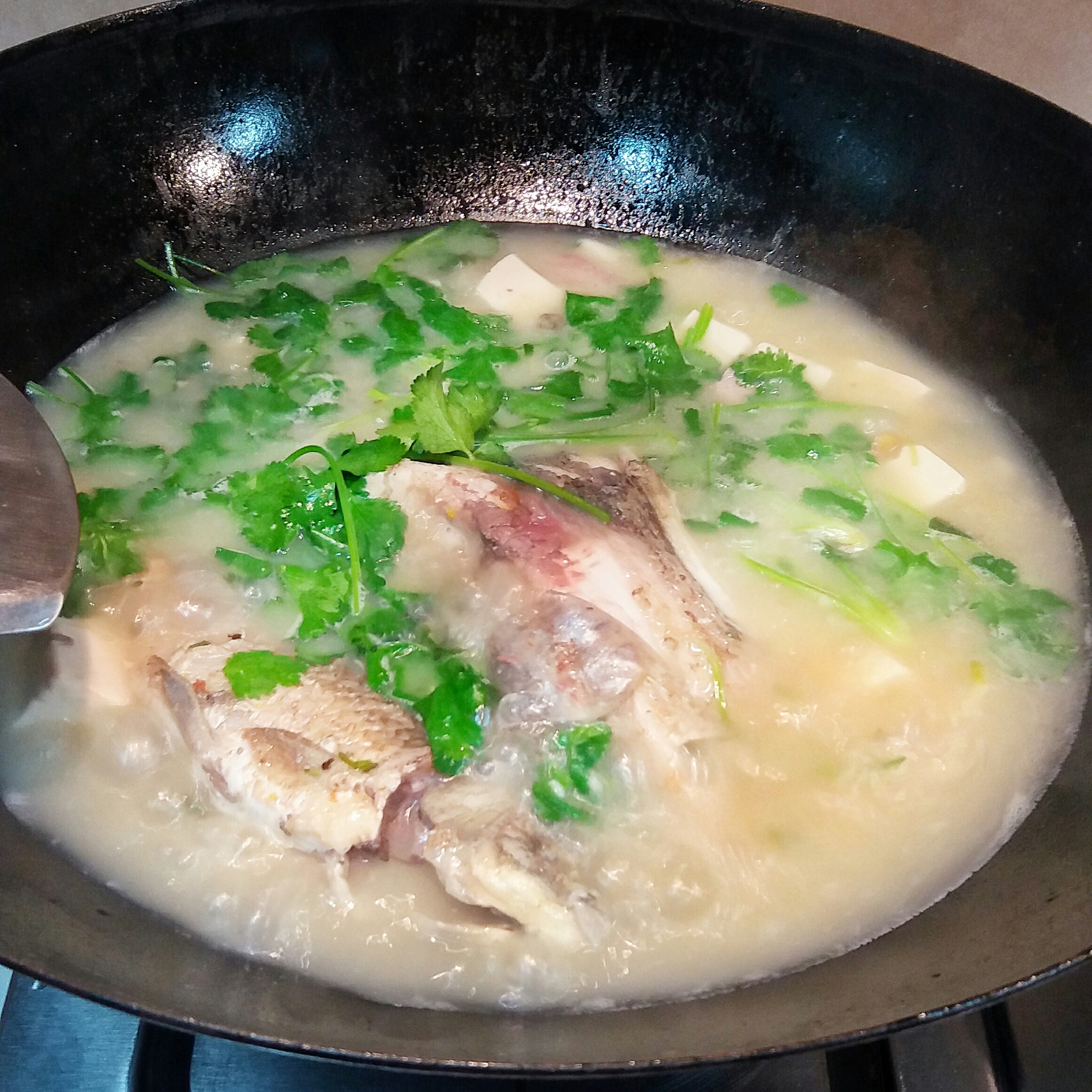 醬蒸大魚頭&芫荽菜豆腐滾魚湯（大魚頭二吃法）的做法 步骤16