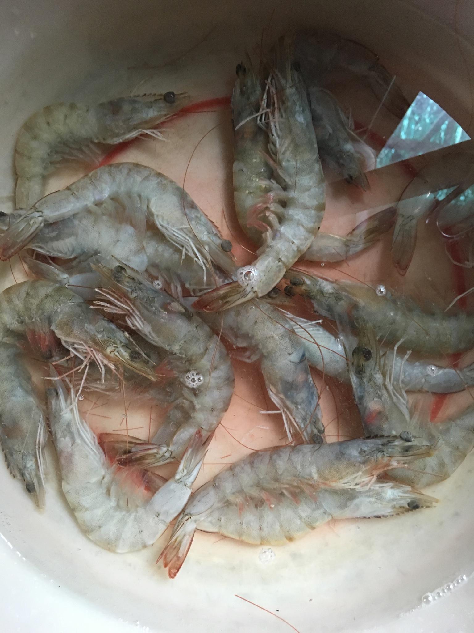 減肥餐搭配---水煮海蝦的做法 步骤1