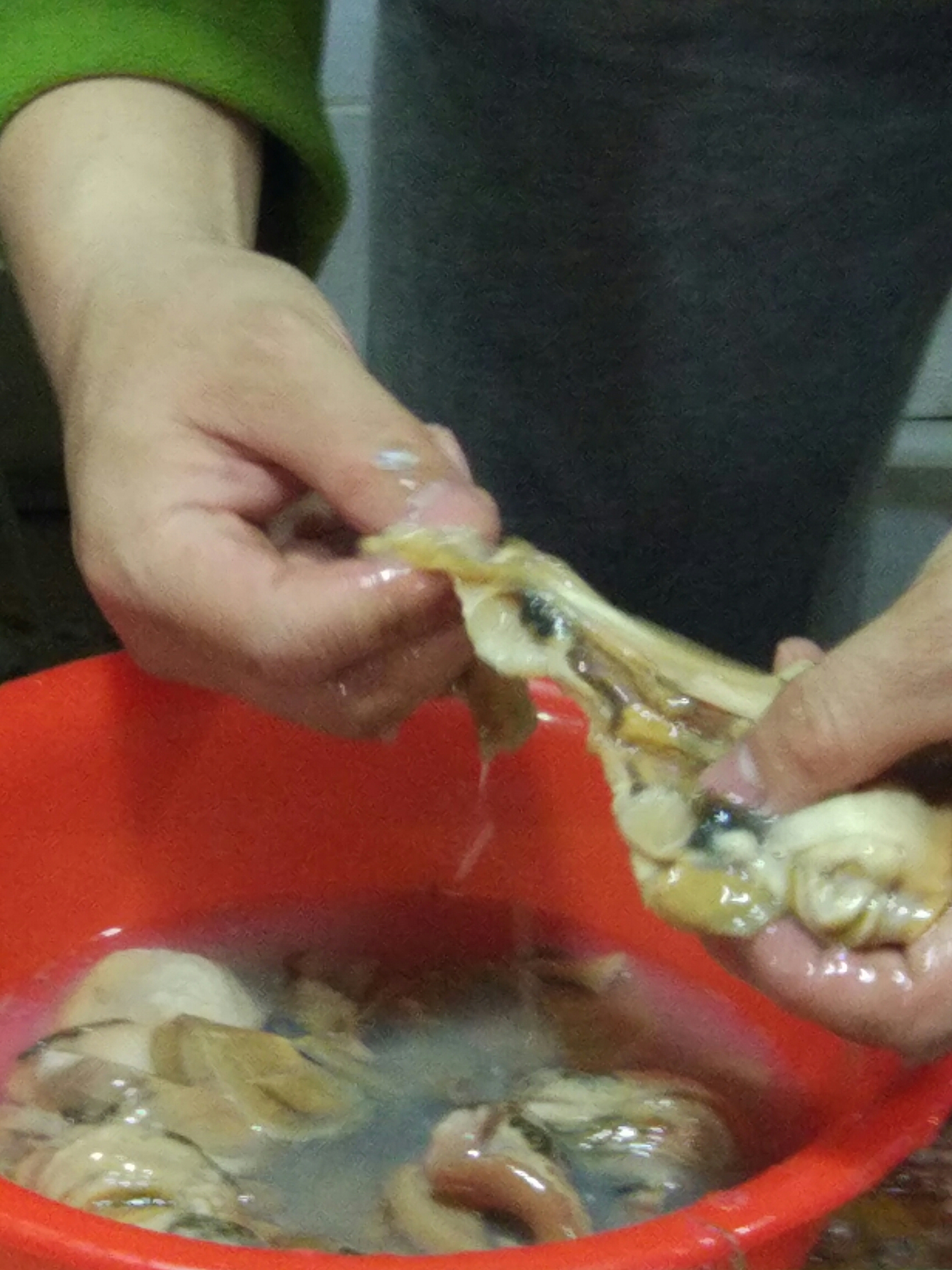 河蚌肉燒青菜薹的做法 步骤2