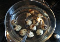 口蘑鵪鶉蛋燒肉的做法 步骤2