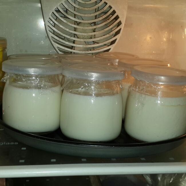 烤箱自制酸奶的做法 步骤4